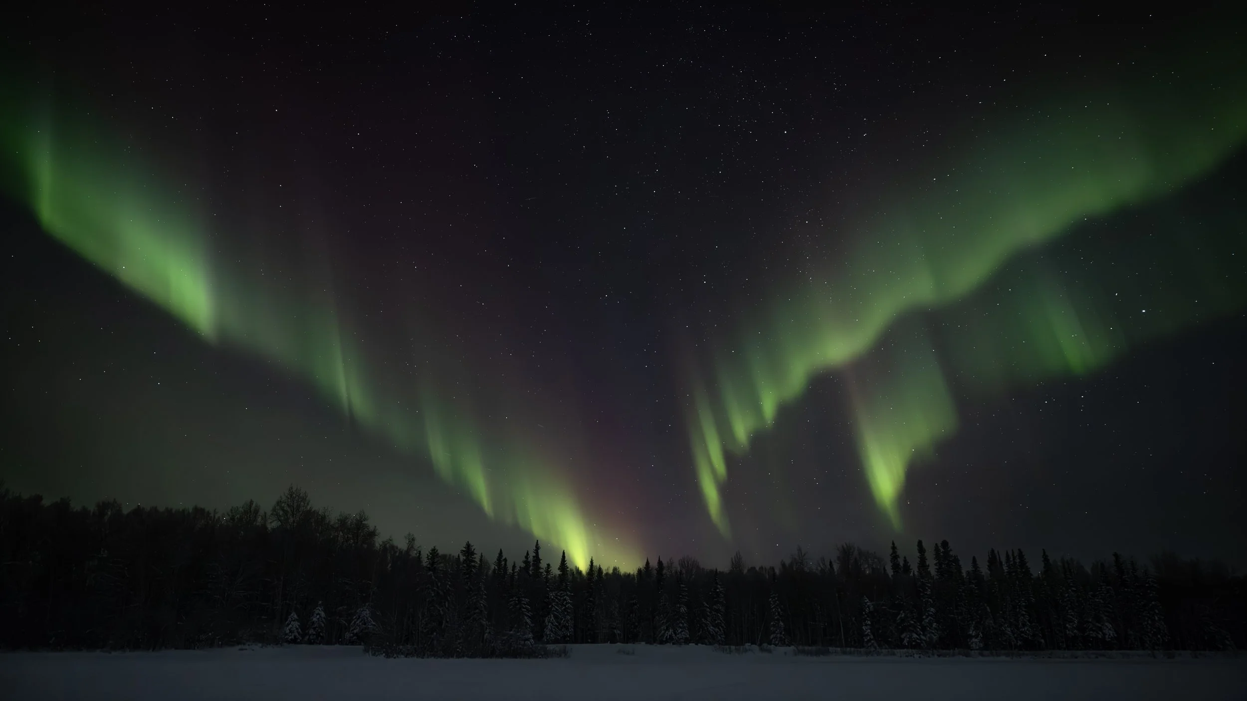 The Horizon Weeps.jpg