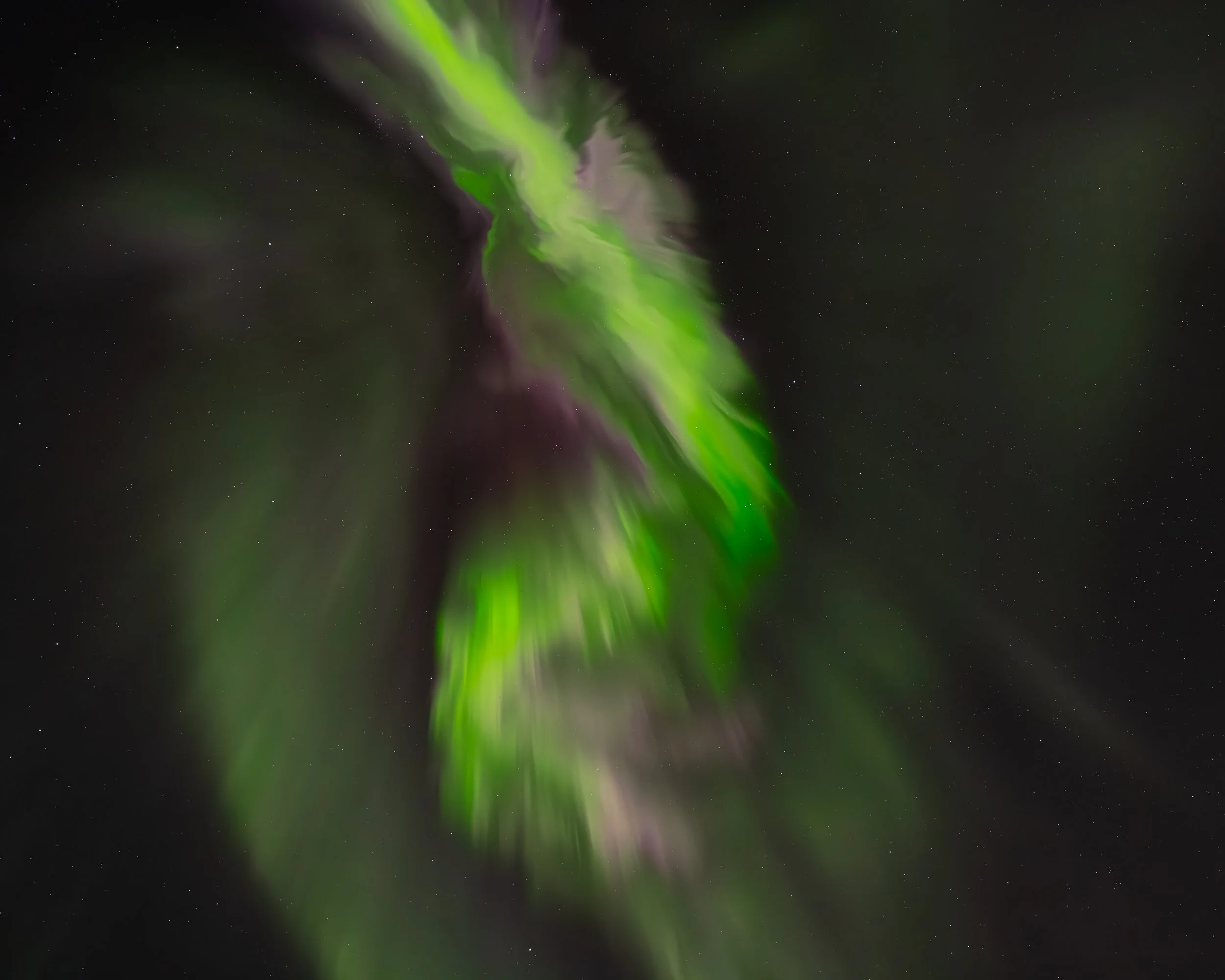 A Crack of Green (socials)-13.jpg