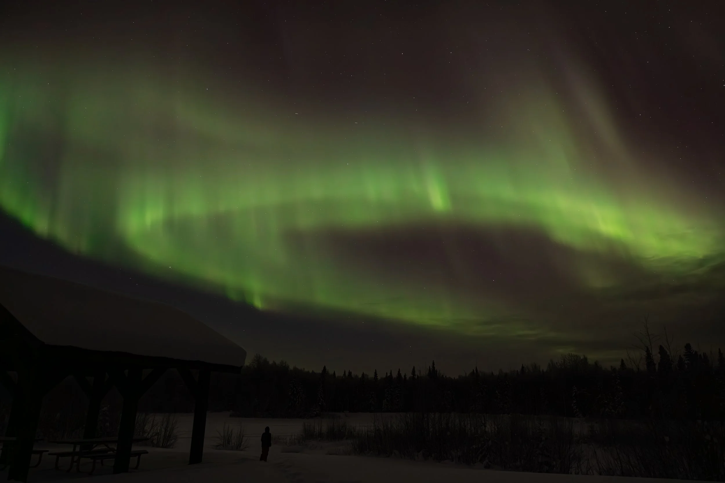 Blessed be the one who dreams (socials).jpg