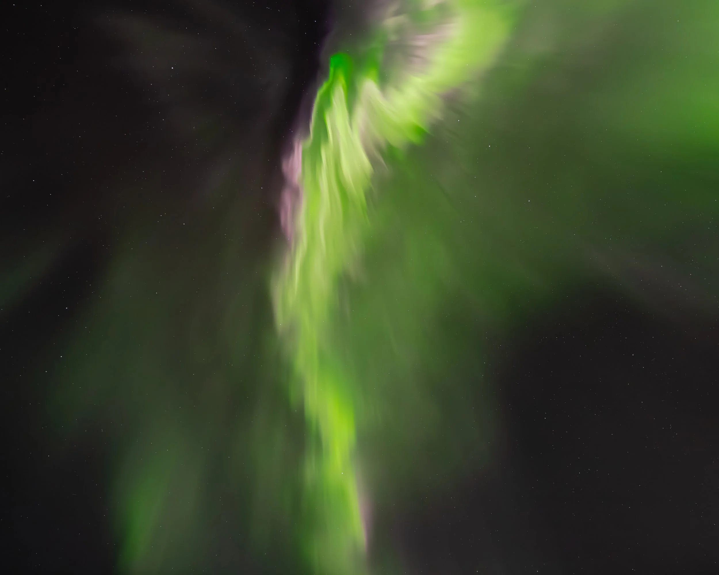 A Crack of Green (socials)-2.jpg