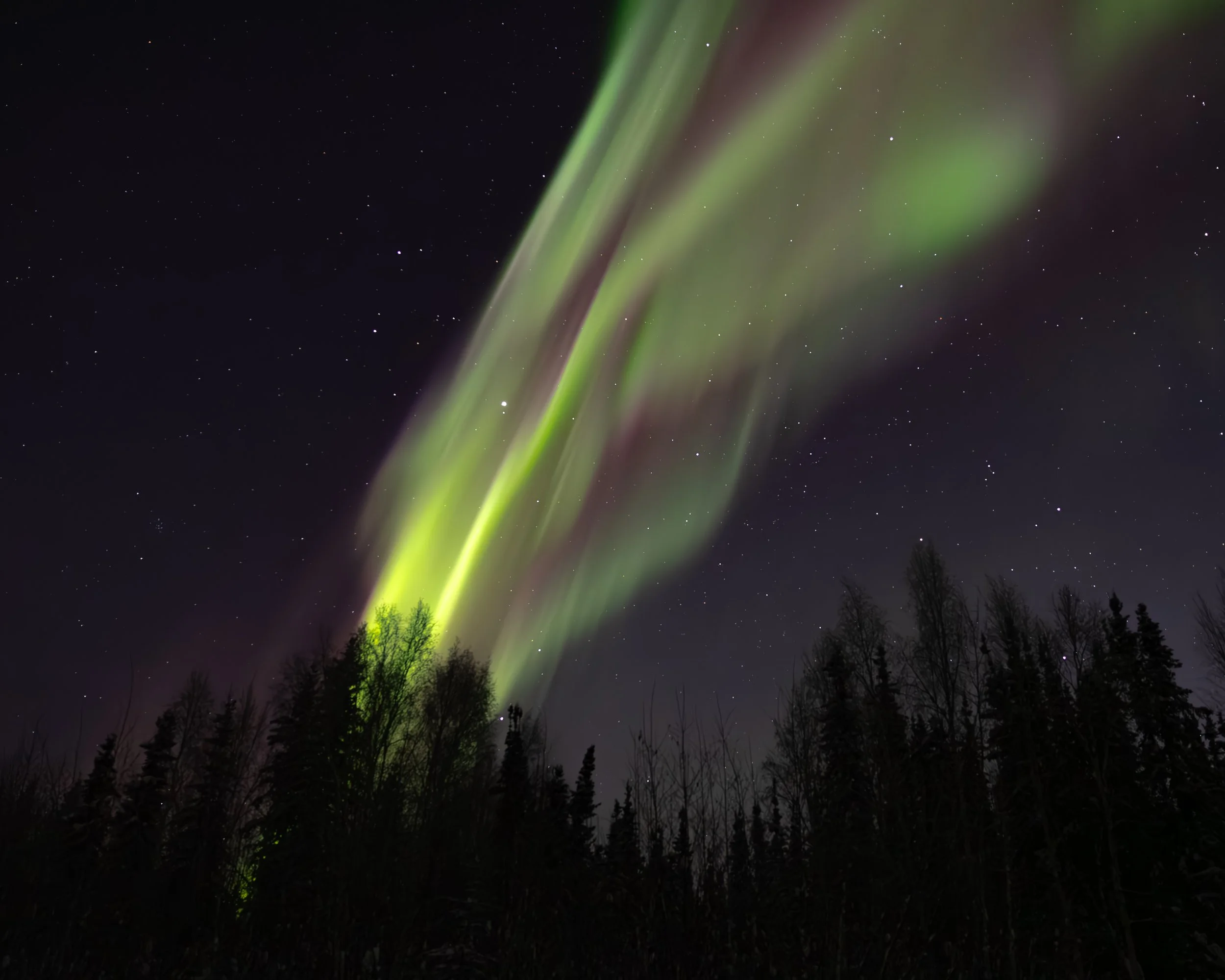 Chimmney (socials).jpg