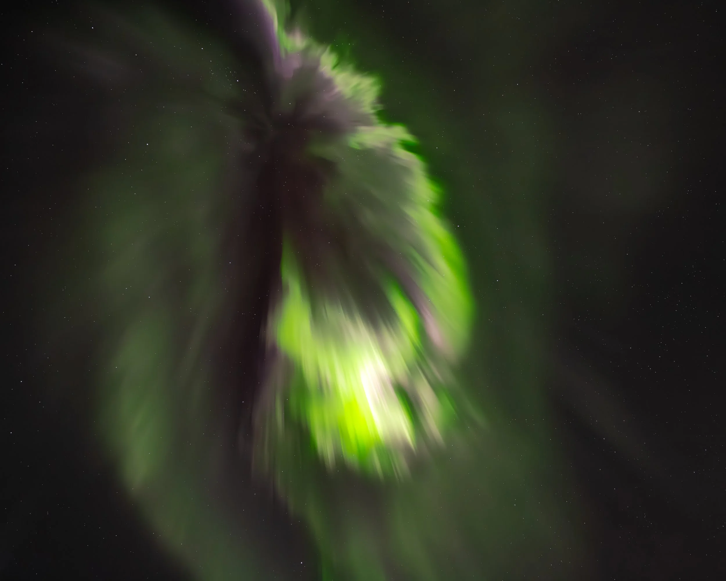 A Crack of Green (socials)-10.jpg