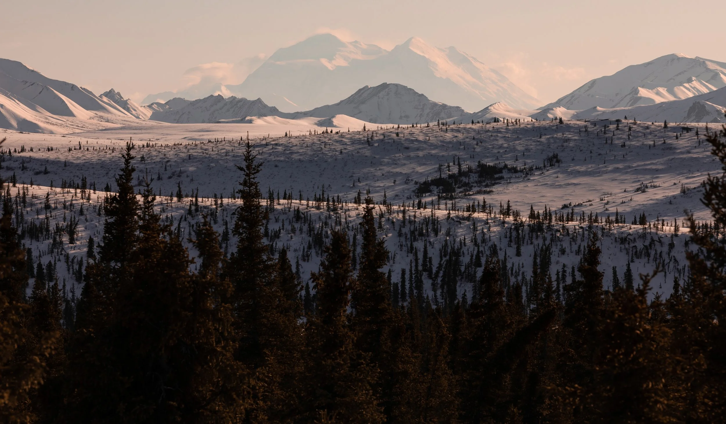 The Great Denali.jpg