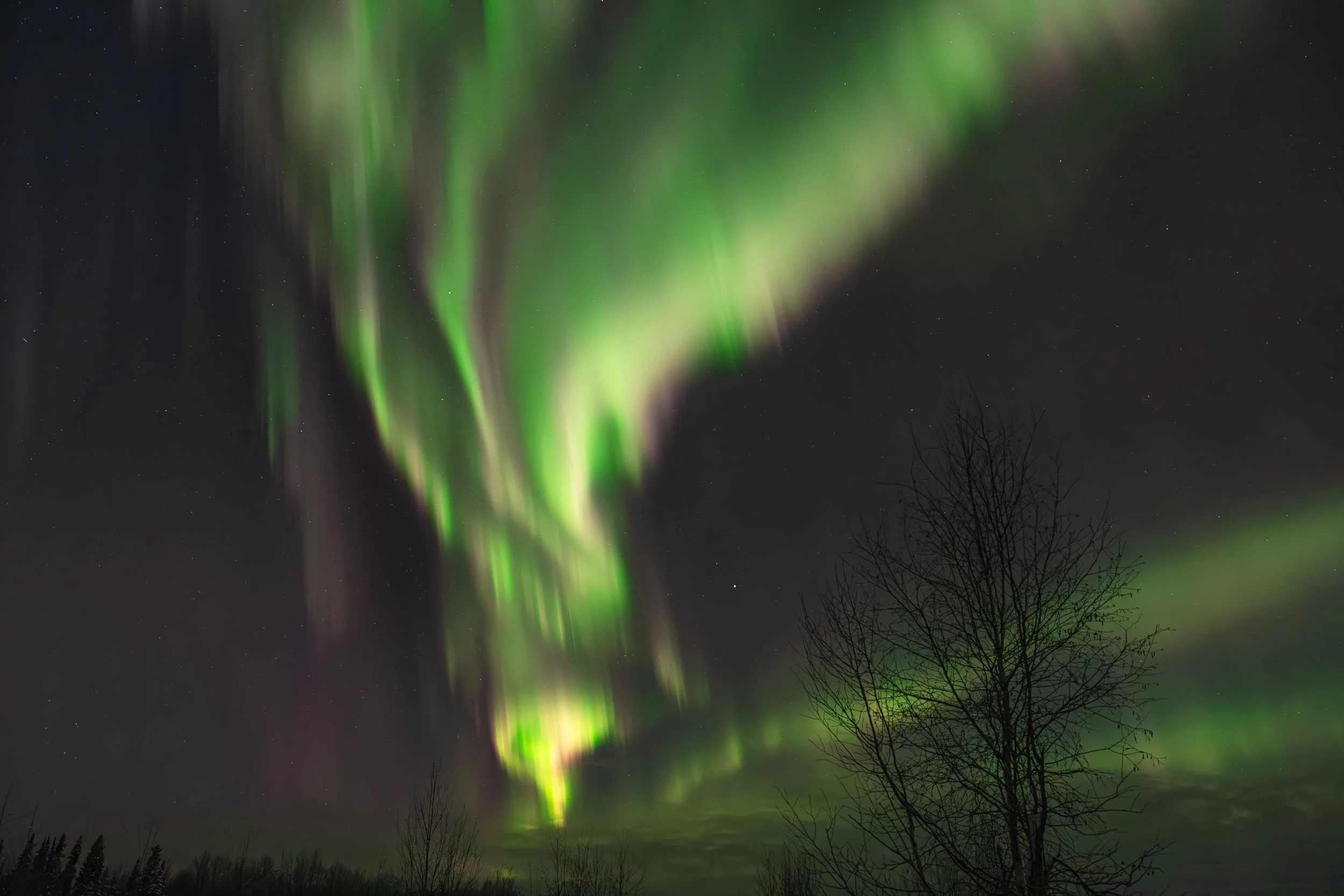 One Day 3  (socials).jpg