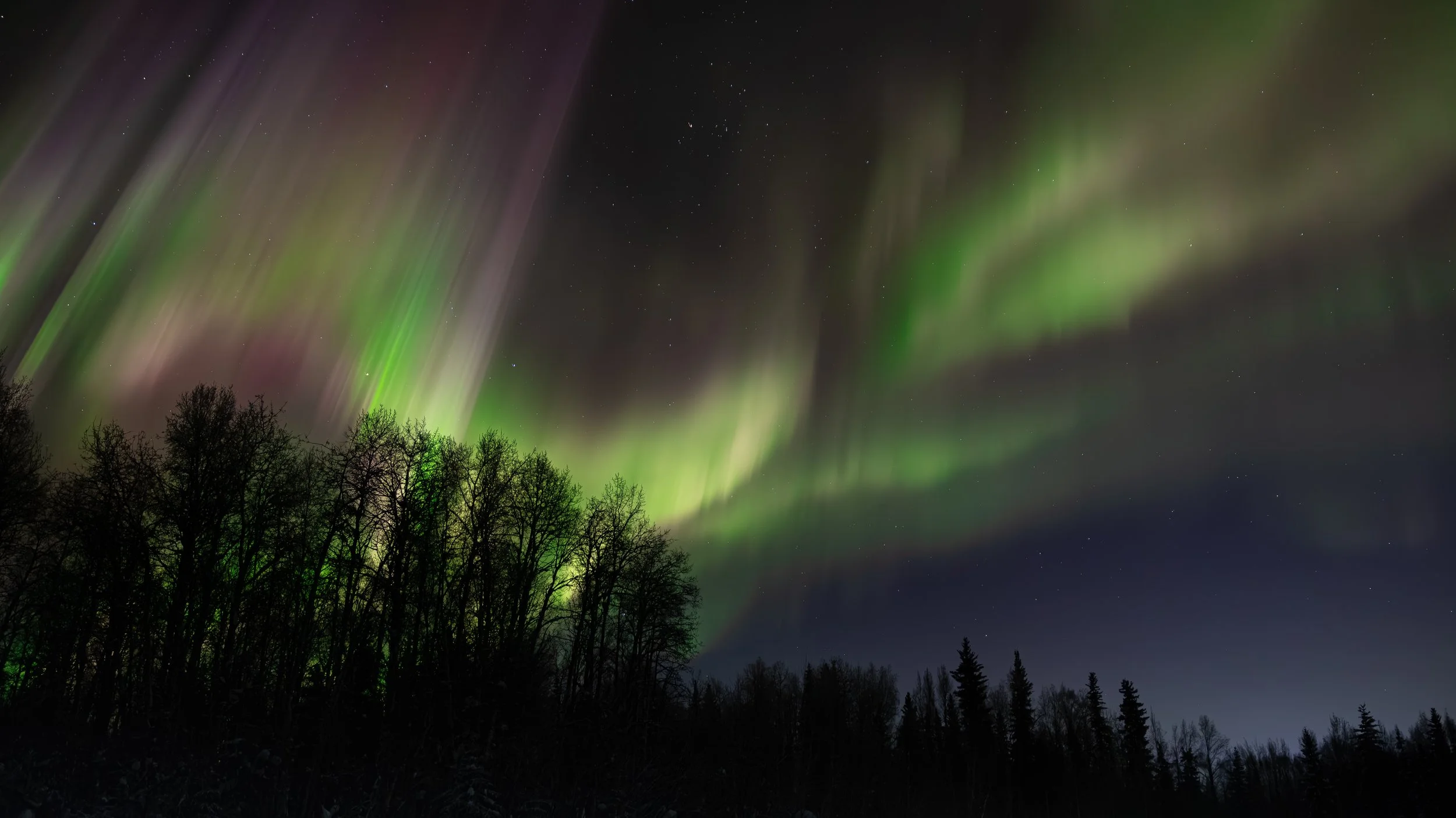 Trails (socials).jpg