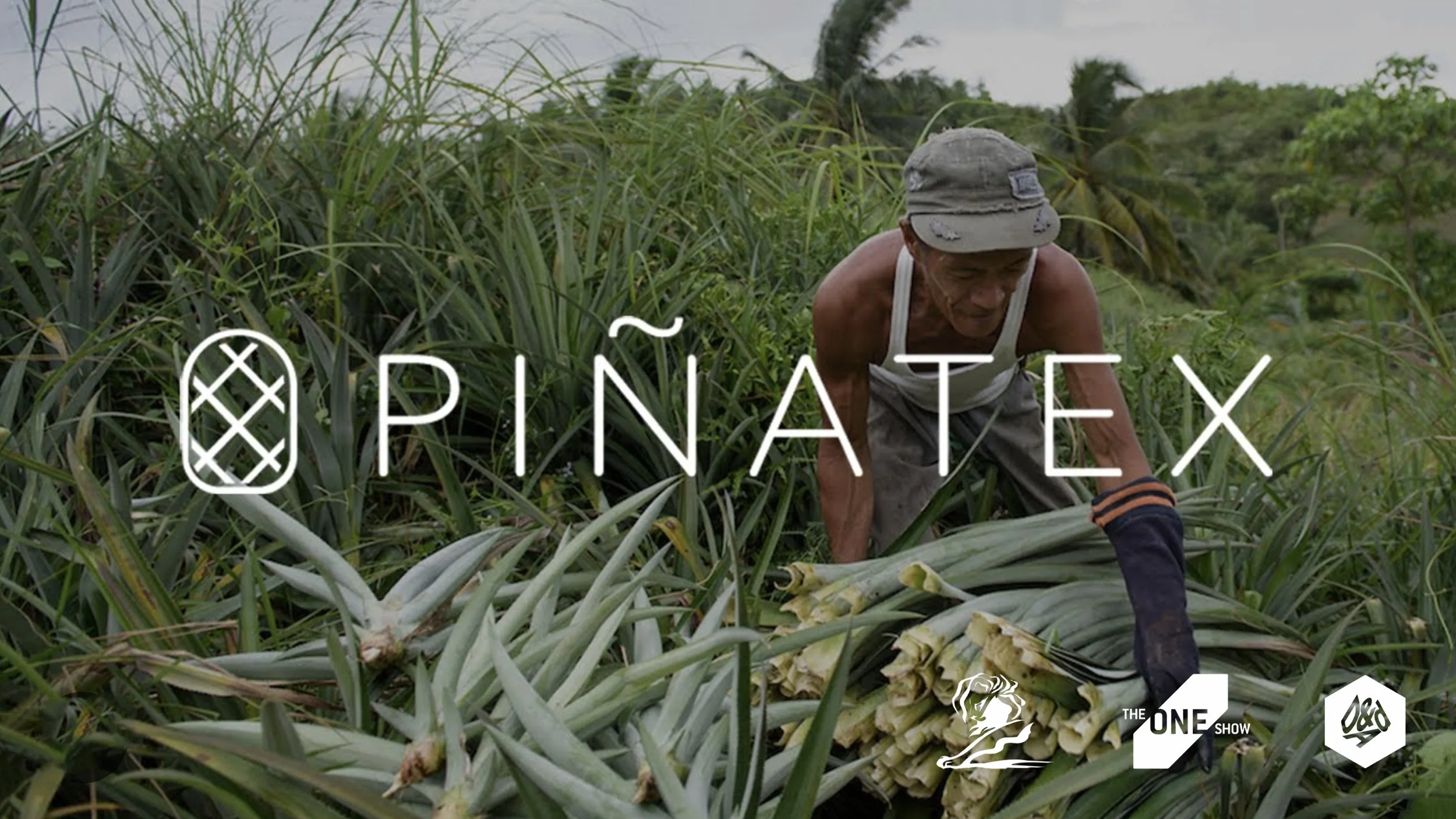 Dole x Pinatex