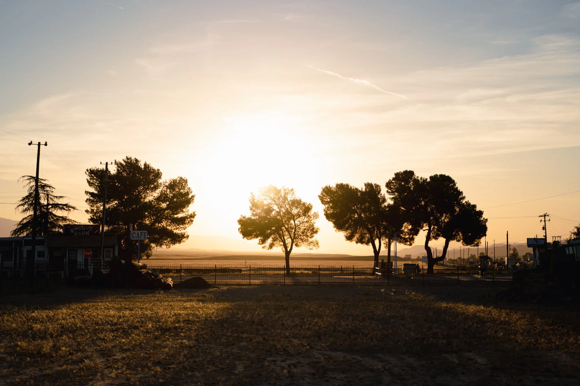 cuyama-may22-87.jpg