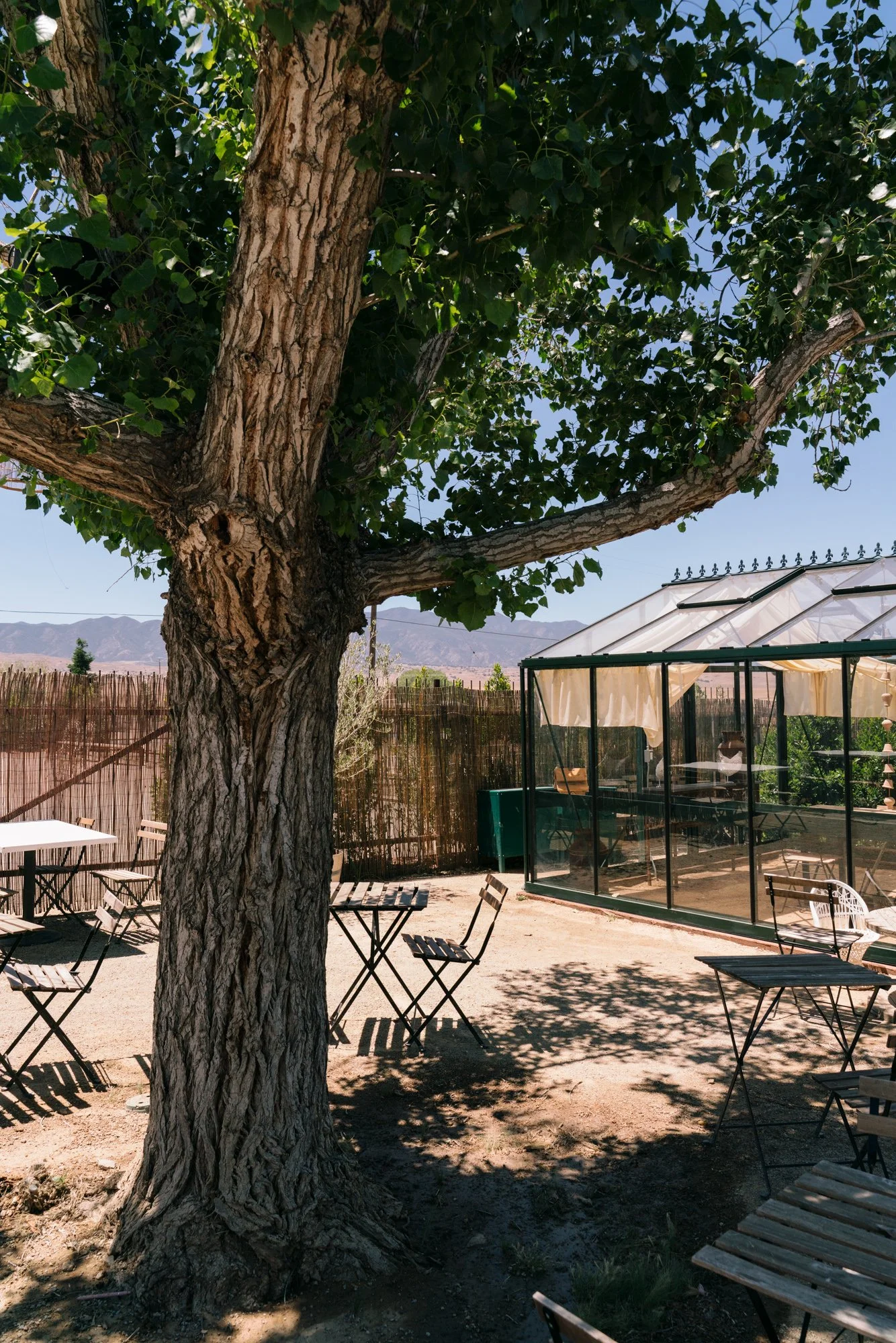 cuyama-may22-48.jpg