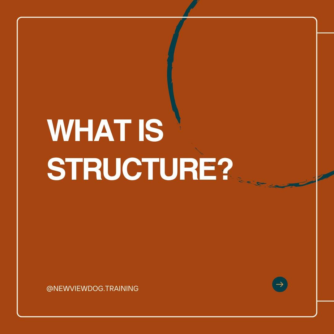 What is structure? 

Too often we're told to &quot;add more structure&quot; as if that will solve all of our dog's behavioural problems. But what does that mean? 

Structure is much more than a laundry list of things to check off:
- sitting before wa