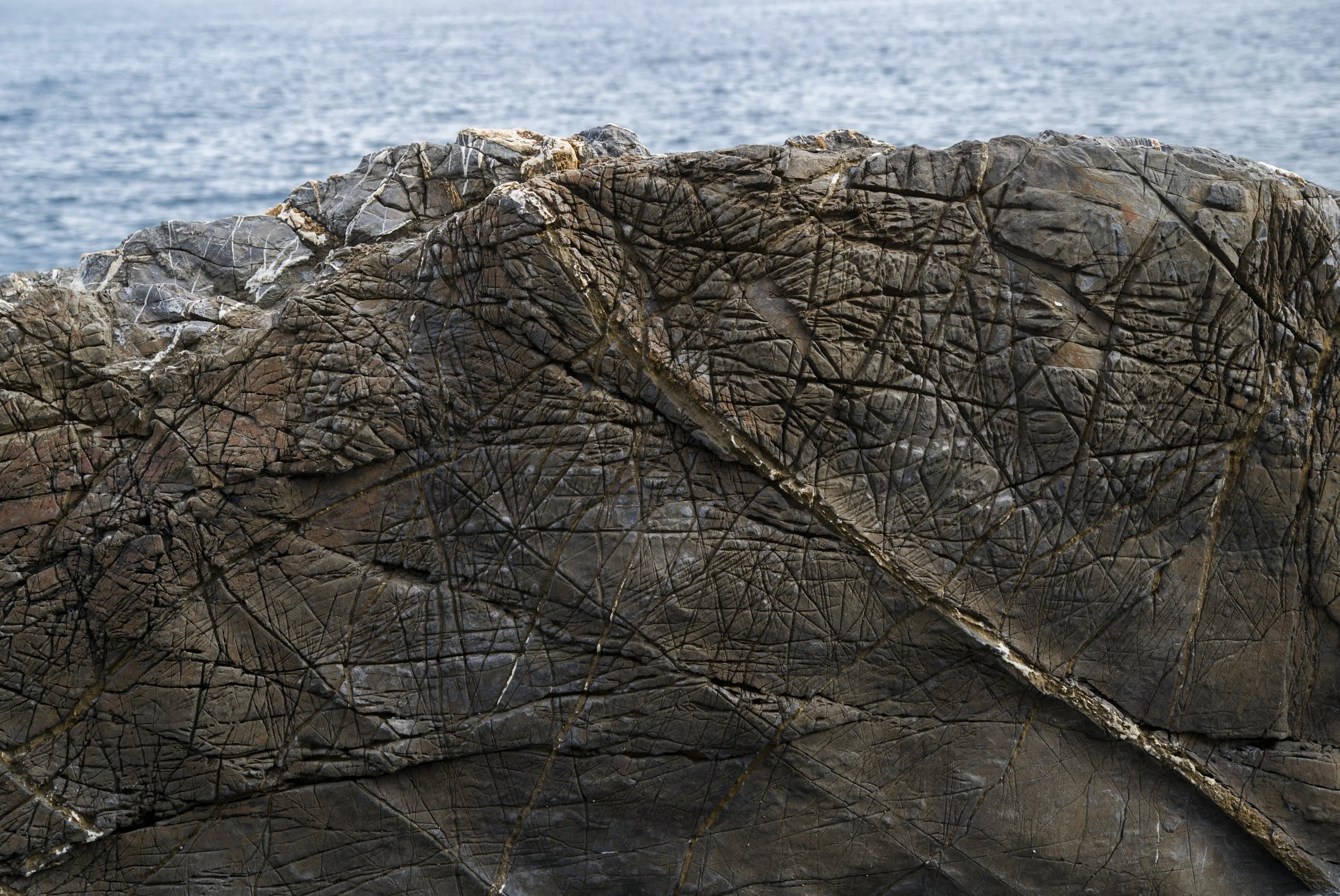 Close-up of a large, textured rock formation near the water with visible cracks and striations.