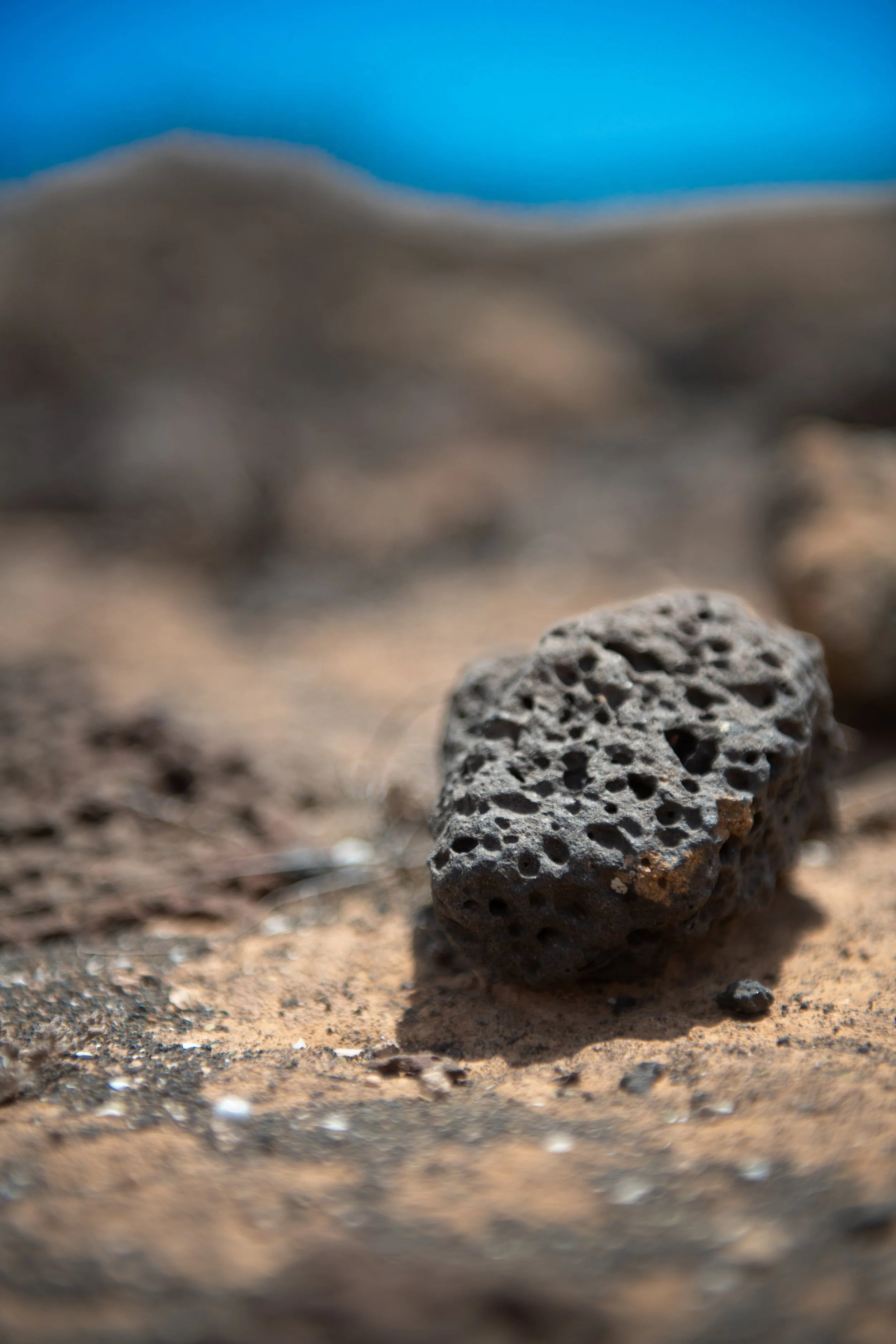Close-up of a porous, dark volcanic rock on sandy terrain with blurred background.