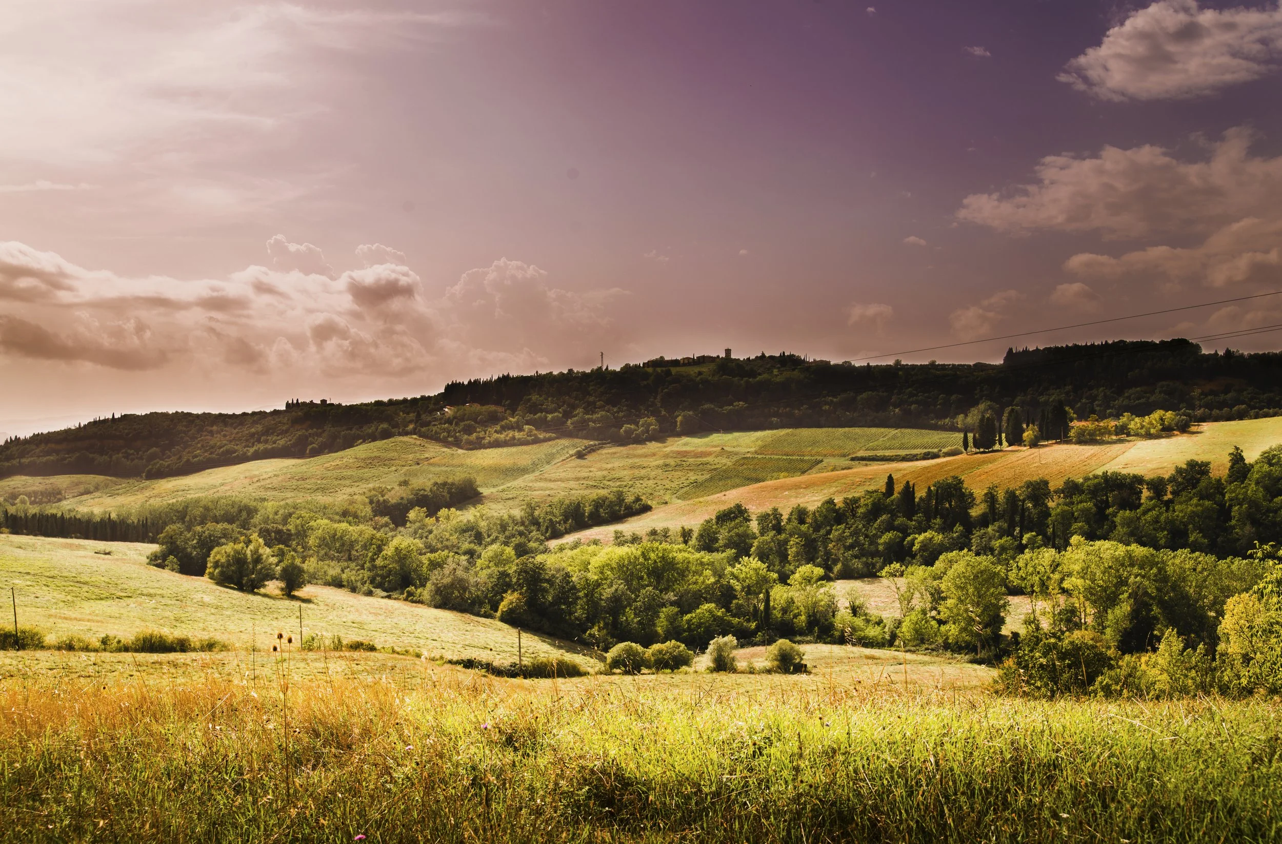 Sunset over rolling green hills with trees and fields in a rural landscape in Tuscany, Italy.
