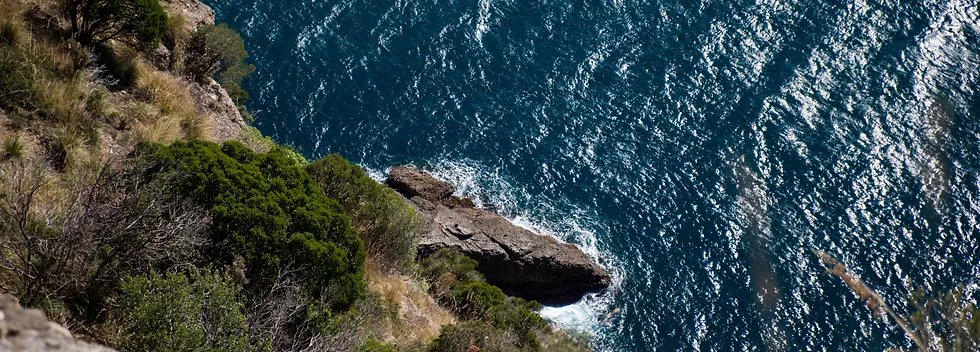 Cliffside overlooking the ocean with green bushes and rocks