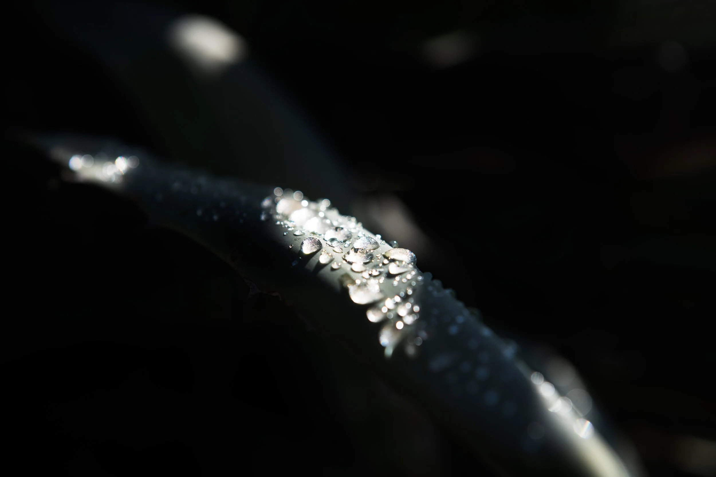 A rocky, barren mountain landscape under a clear sky, with loose stones and dry vegetation.