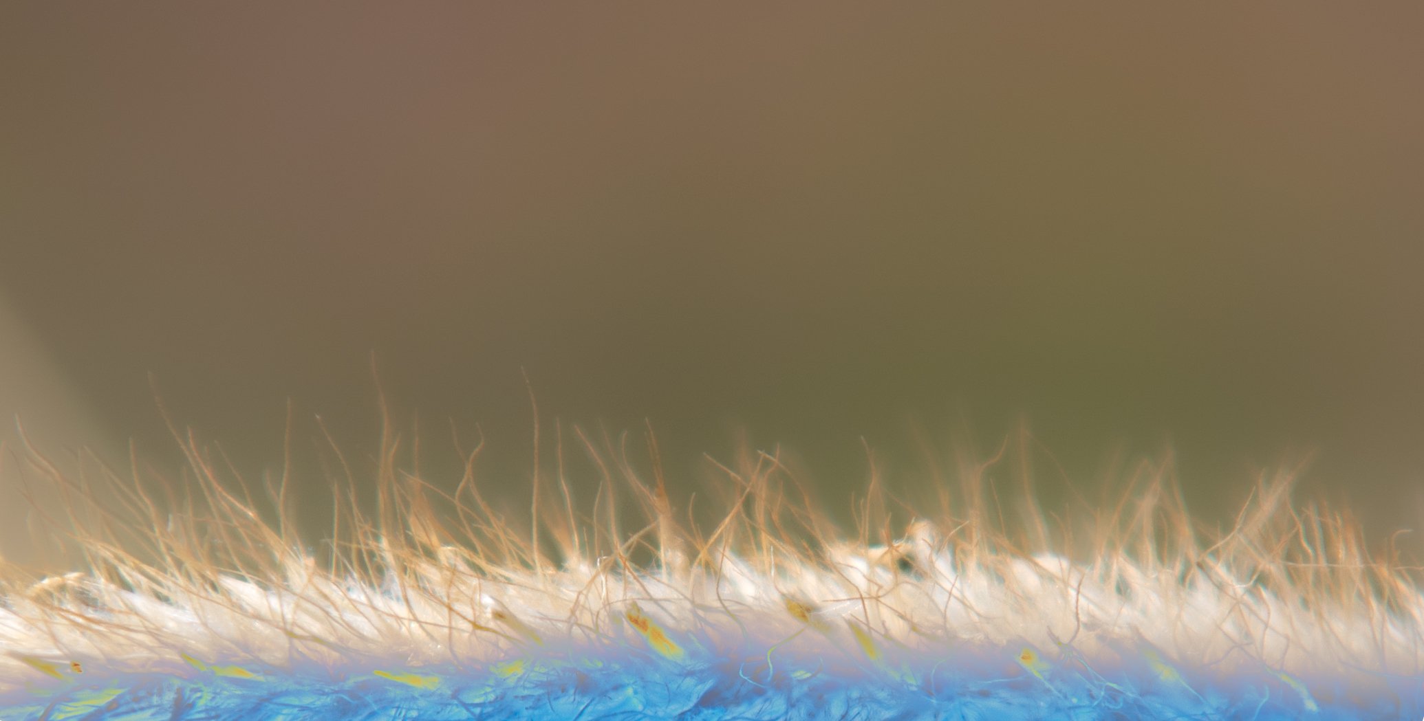 Close-up view of fabric with colorful threads and fibers, showing intricate details of the textile material.