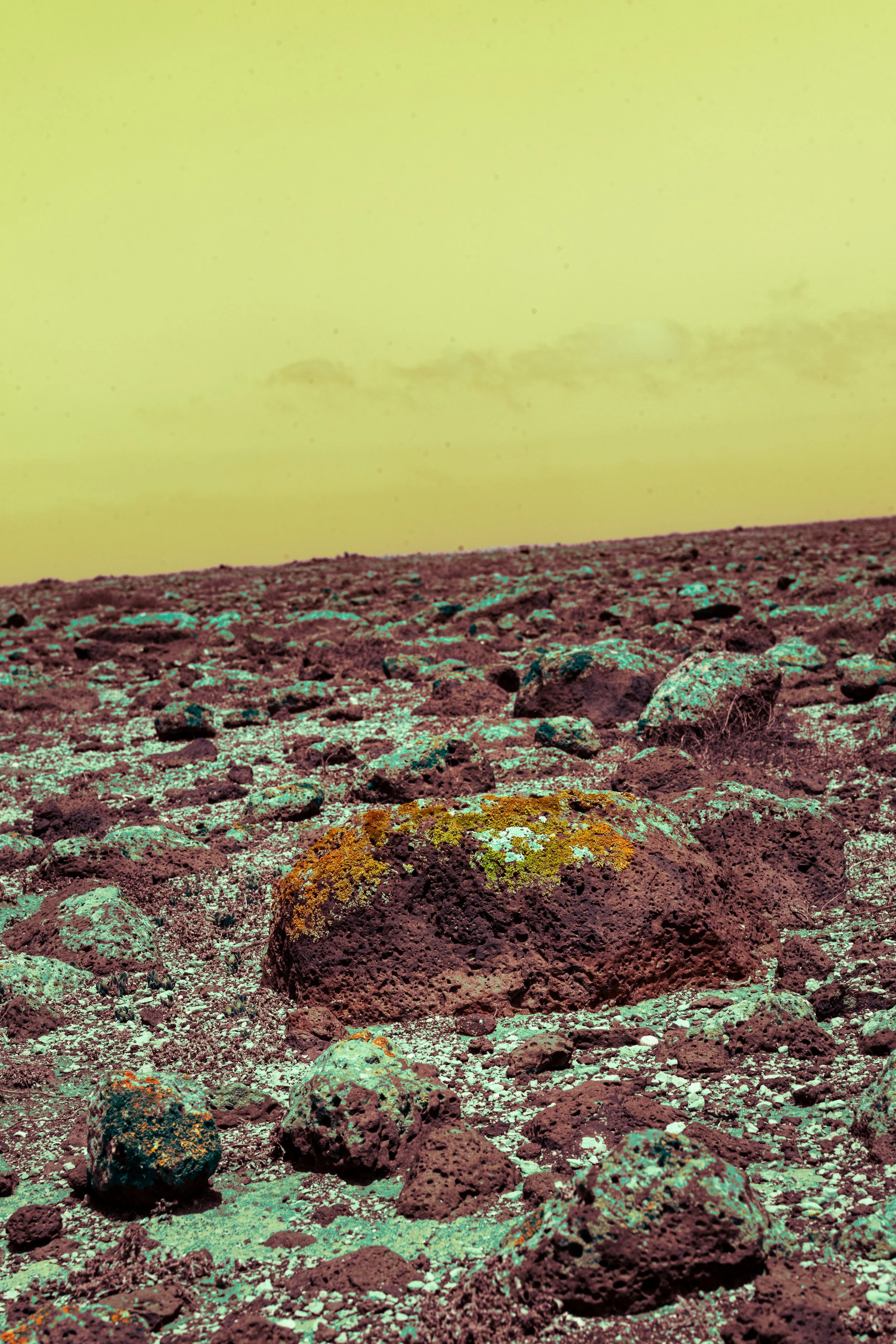 Rocky desert landscape with lichen-covered rocks and a yellow sky.