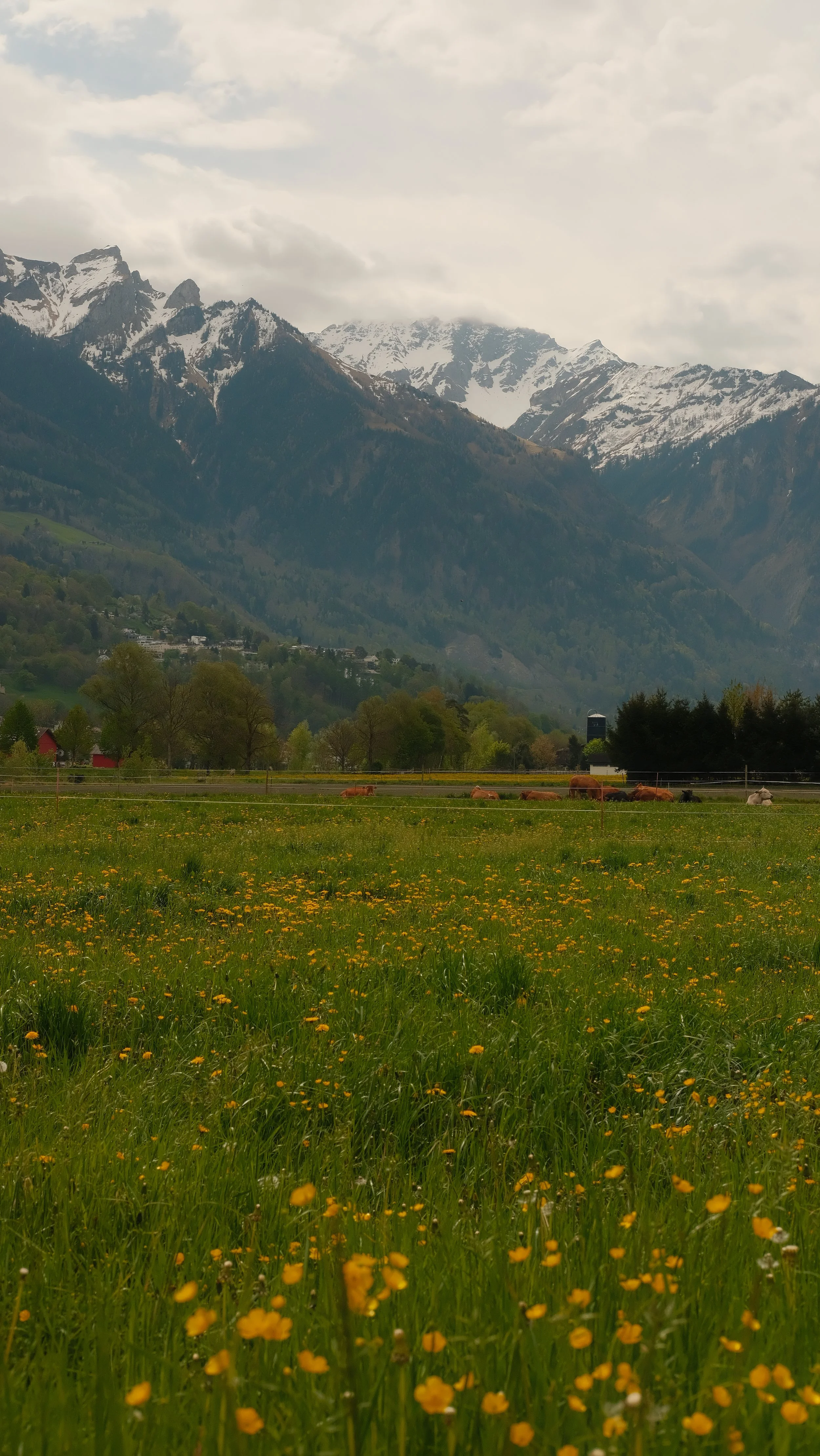 DSCF4273.jpg
