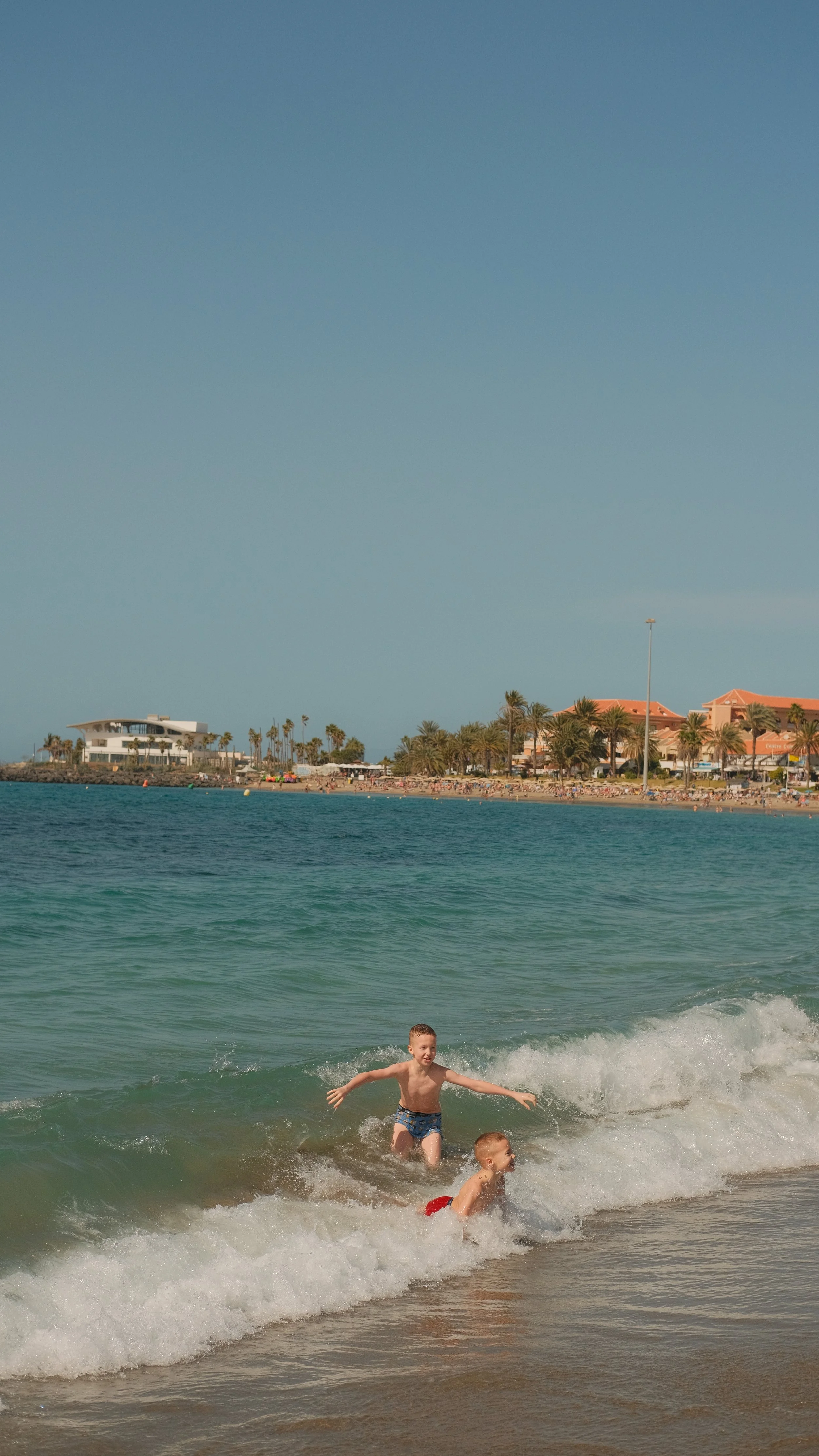 DSCF3761.jpg