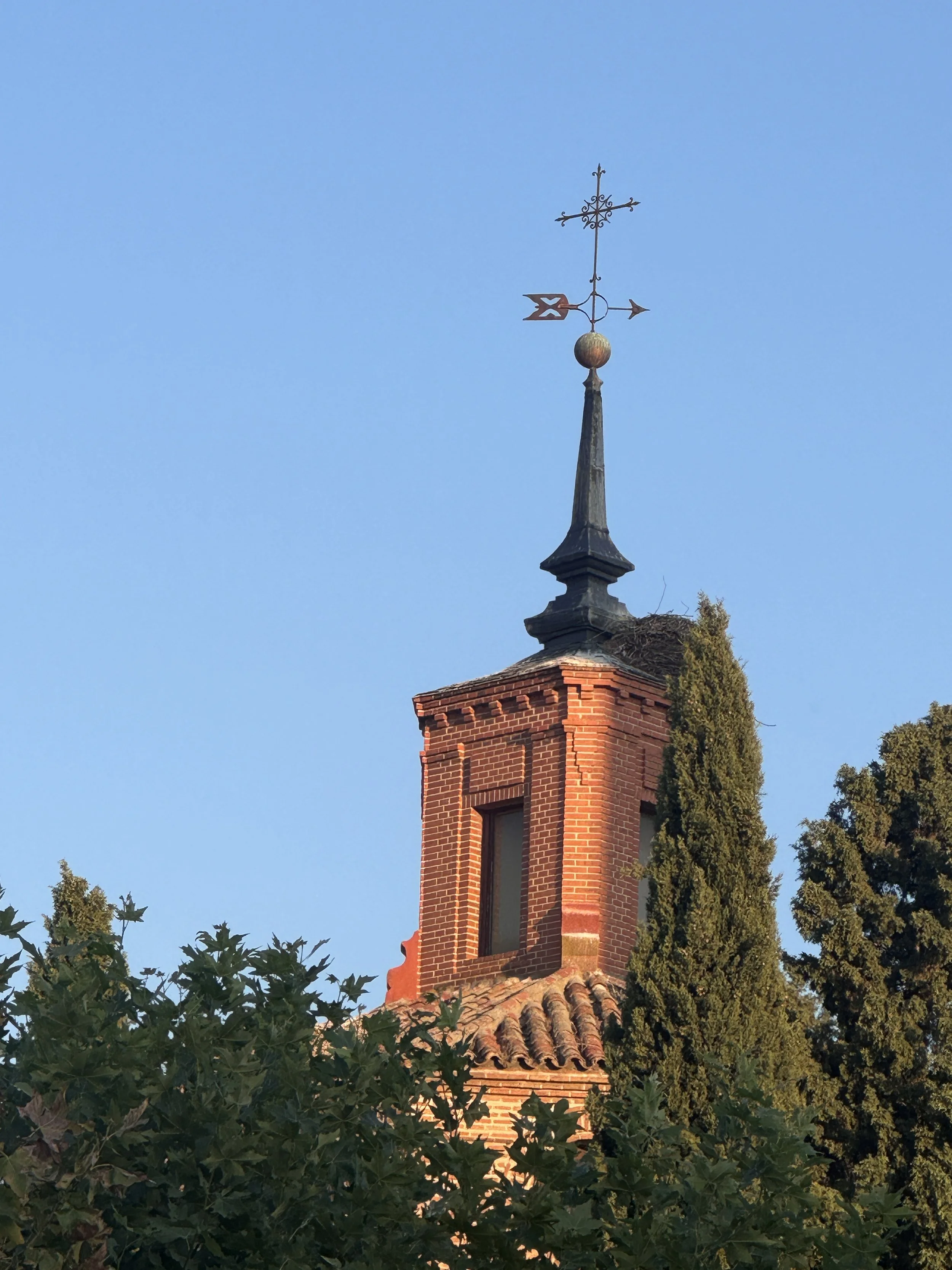  Global warming has caused the storks to change migration patterns, allowing people to see them here almost year round. 
