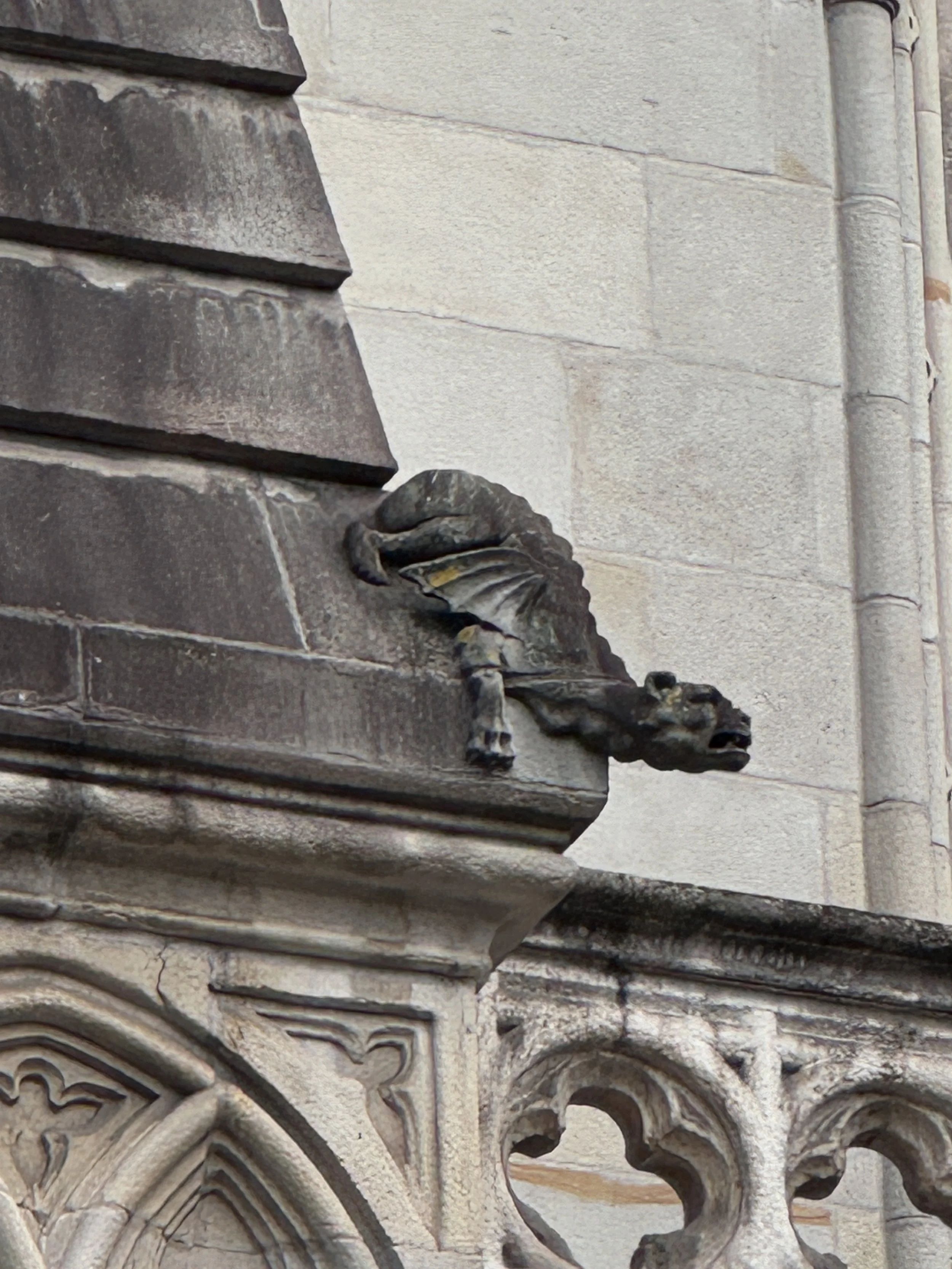  I thought these were very funky gargoyles! 