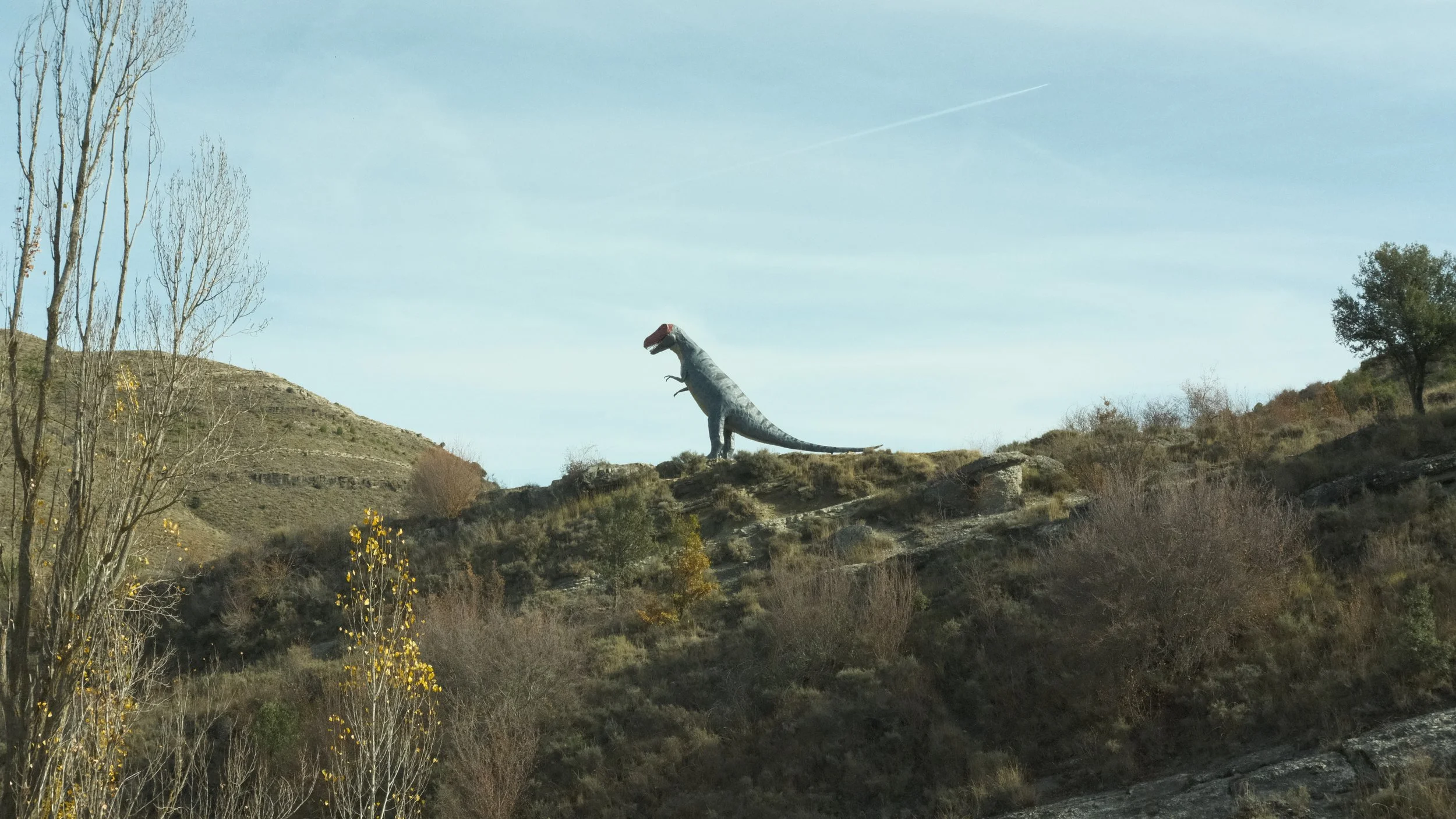 The route had a couple different dinosaurs hanging out 