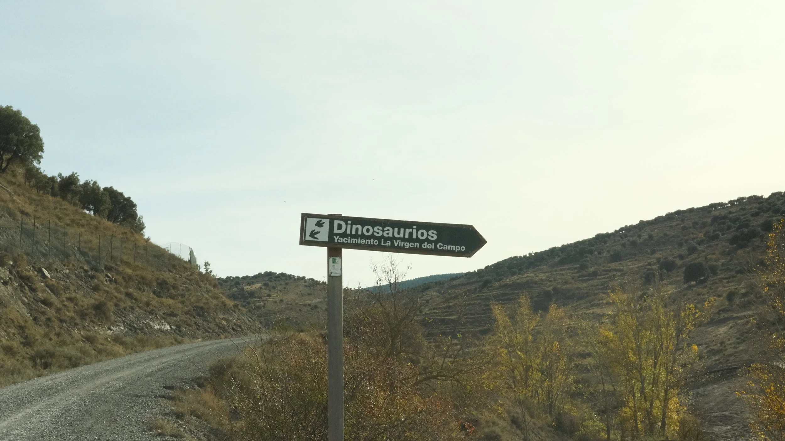 The start of the Dinosaur hiking trail with fake dinos and real footprints