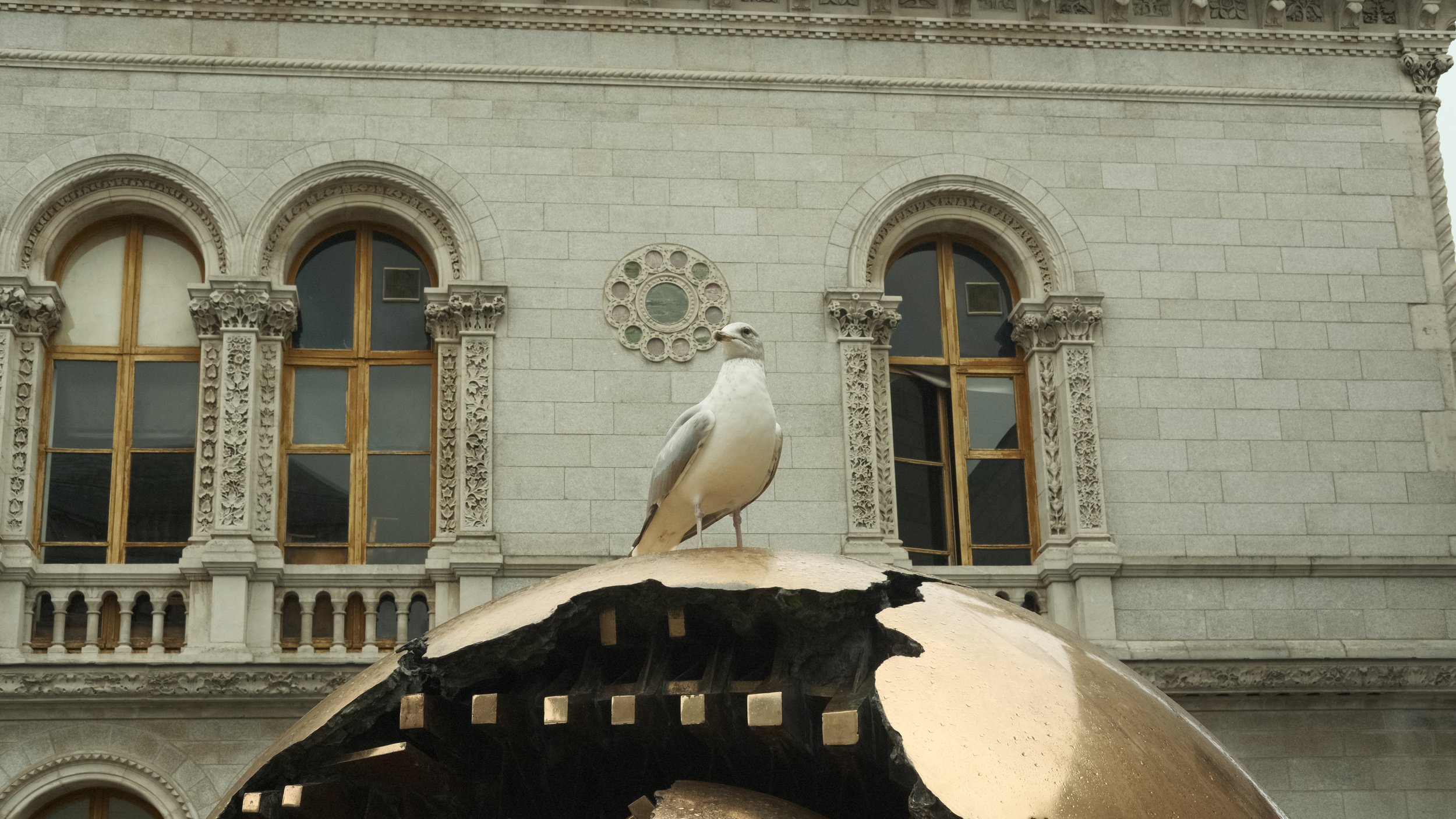  You knew this was coming… another bird! The seagulls in Dublin are SO LOUD!!! But they were very charismatic, especially this guy who was literally on top of the world. 