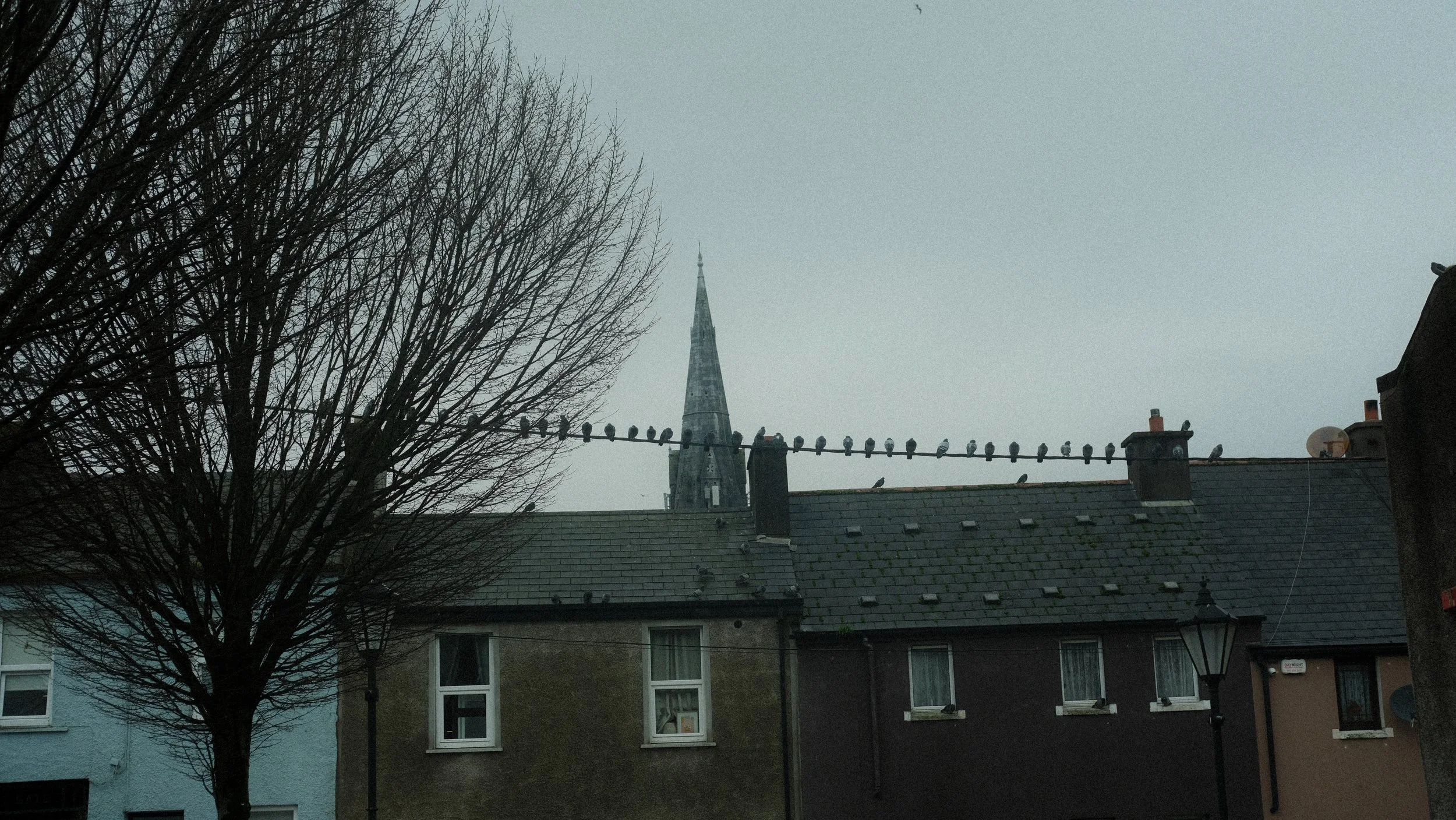  And obviously we give the pigeons some appreciation. I always wonder what it is like to hang out on a wire looking at the cars below. 