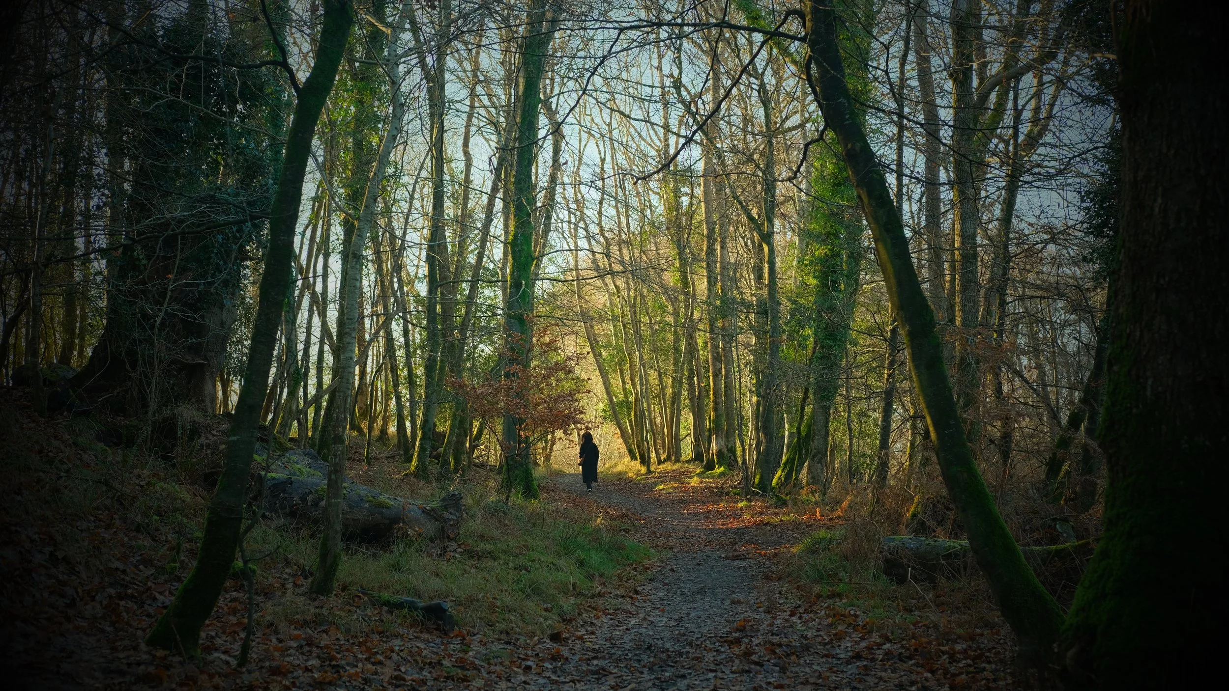  On Christmas Day, we got to explore the Killarney National Park. 