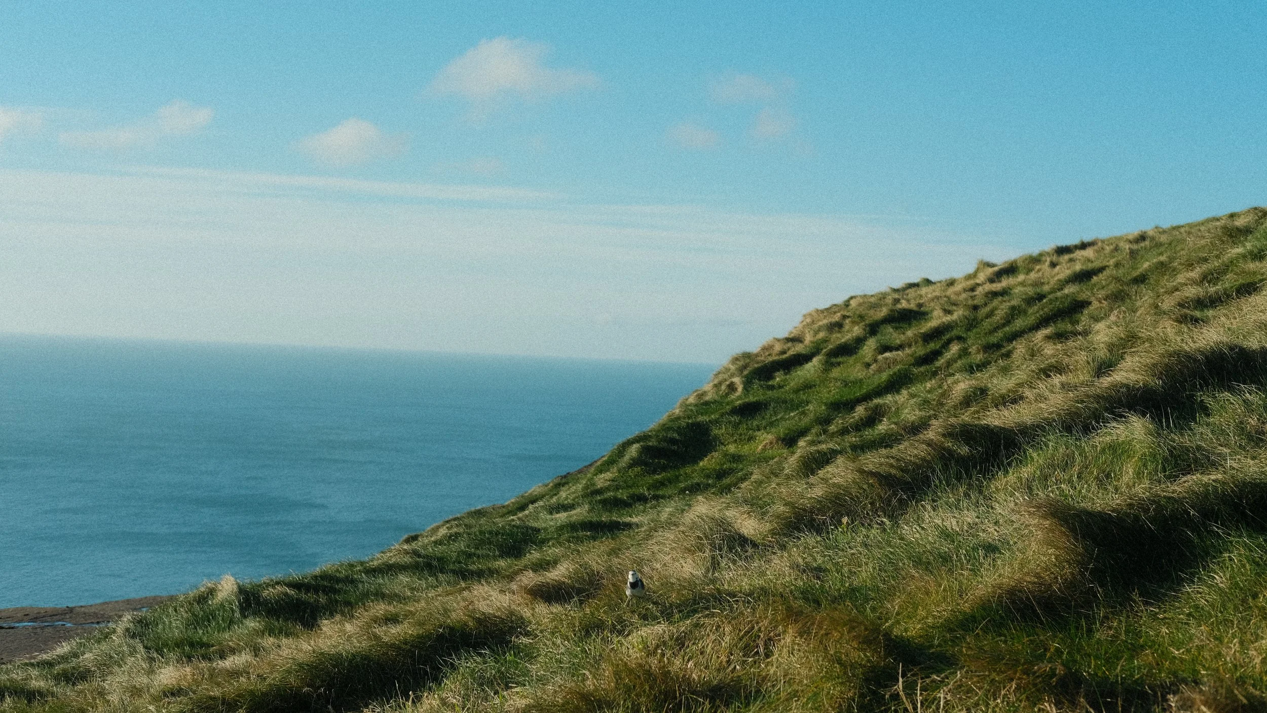 Galway + Cliffs of Moher, Ireland