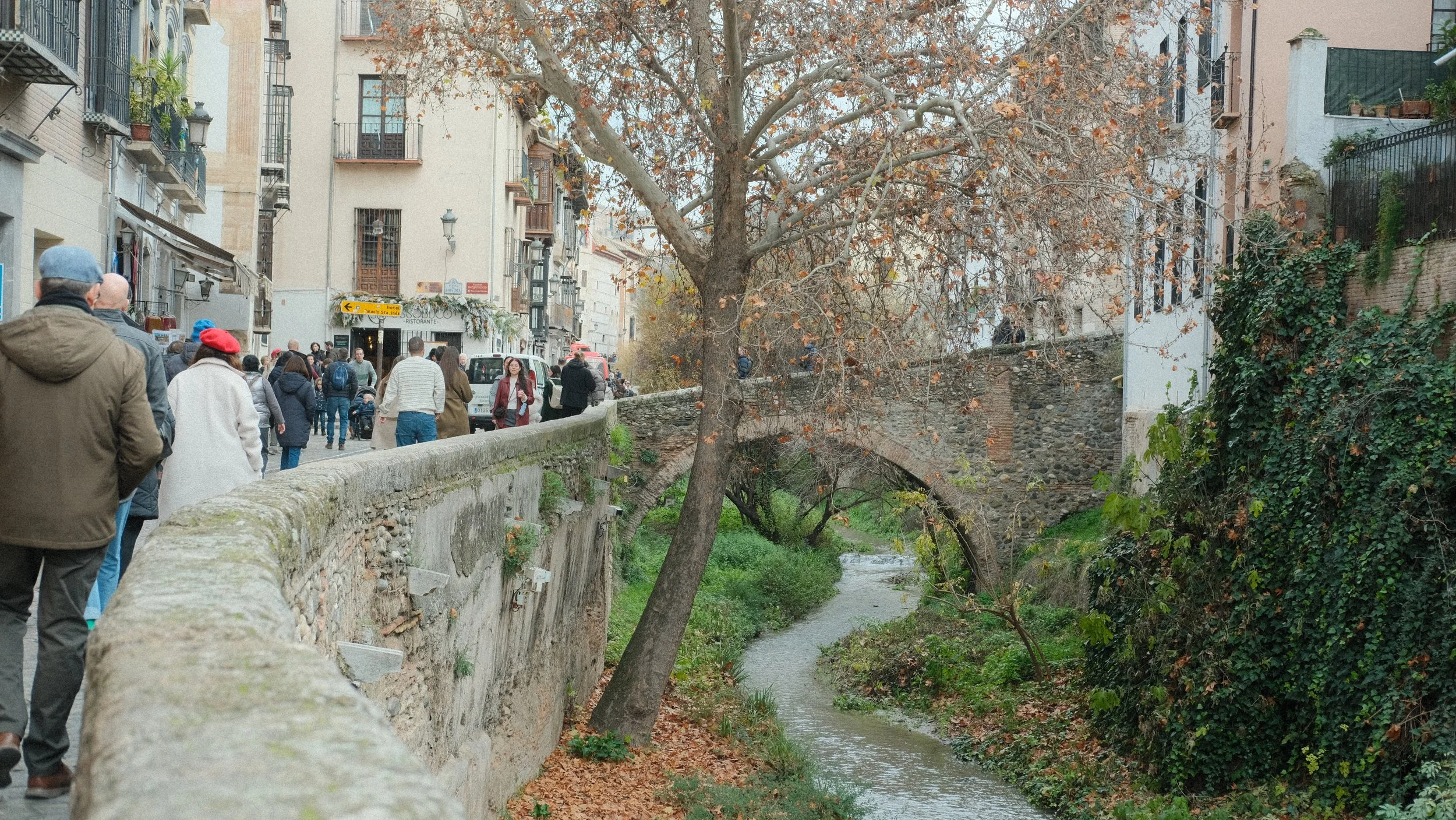  When I got myself out of the market area of the Moorish quarter (where I got a beautiful purple pashmina), I did the long walk to the Alhambra, which was a steep hike. 