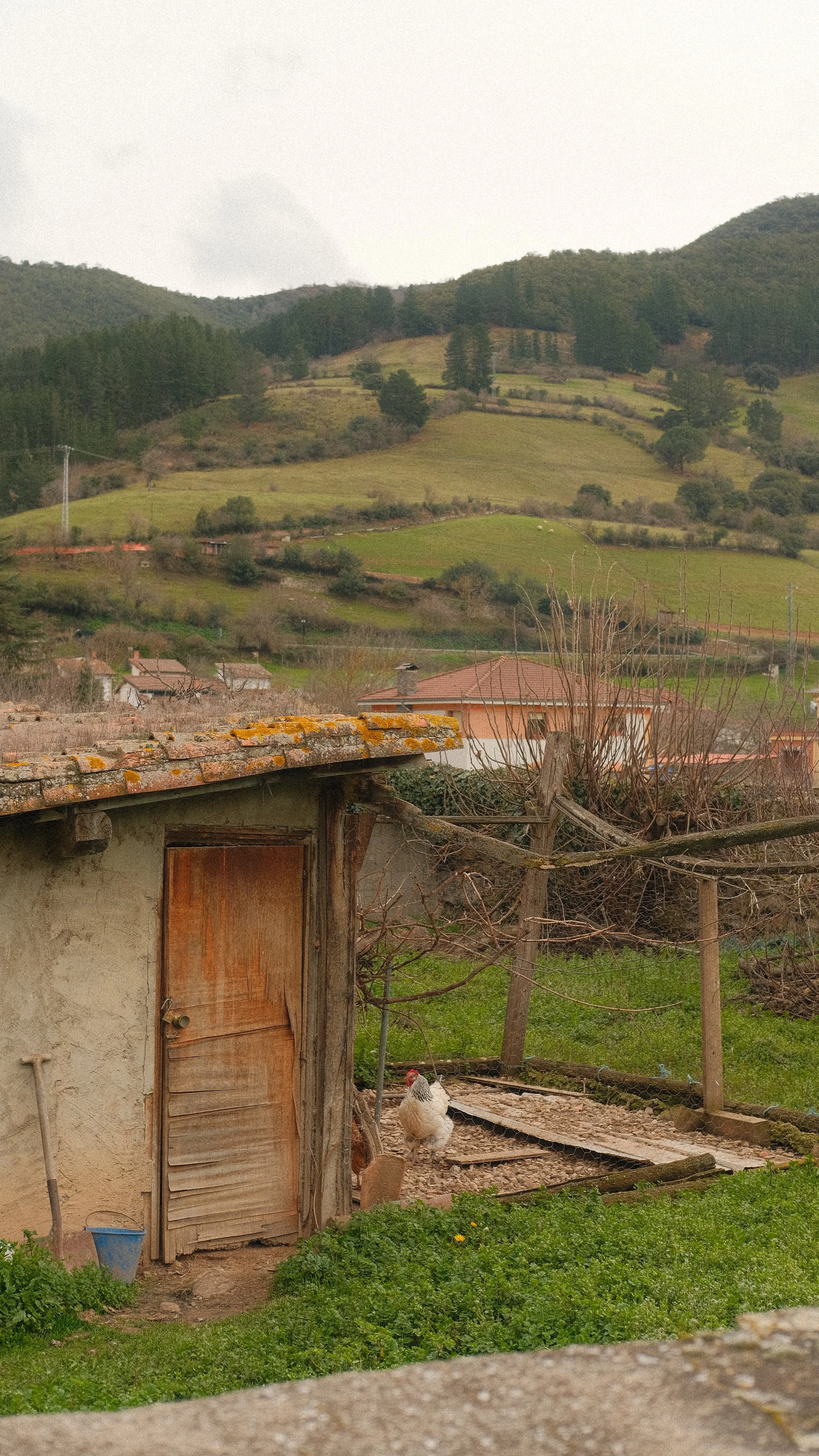  My favorite small spot of the town of Potes was this tiny house. In the backyard was a chicken coop overlooking the vast fields. On the other side of my camera were the snow capped mountains. 