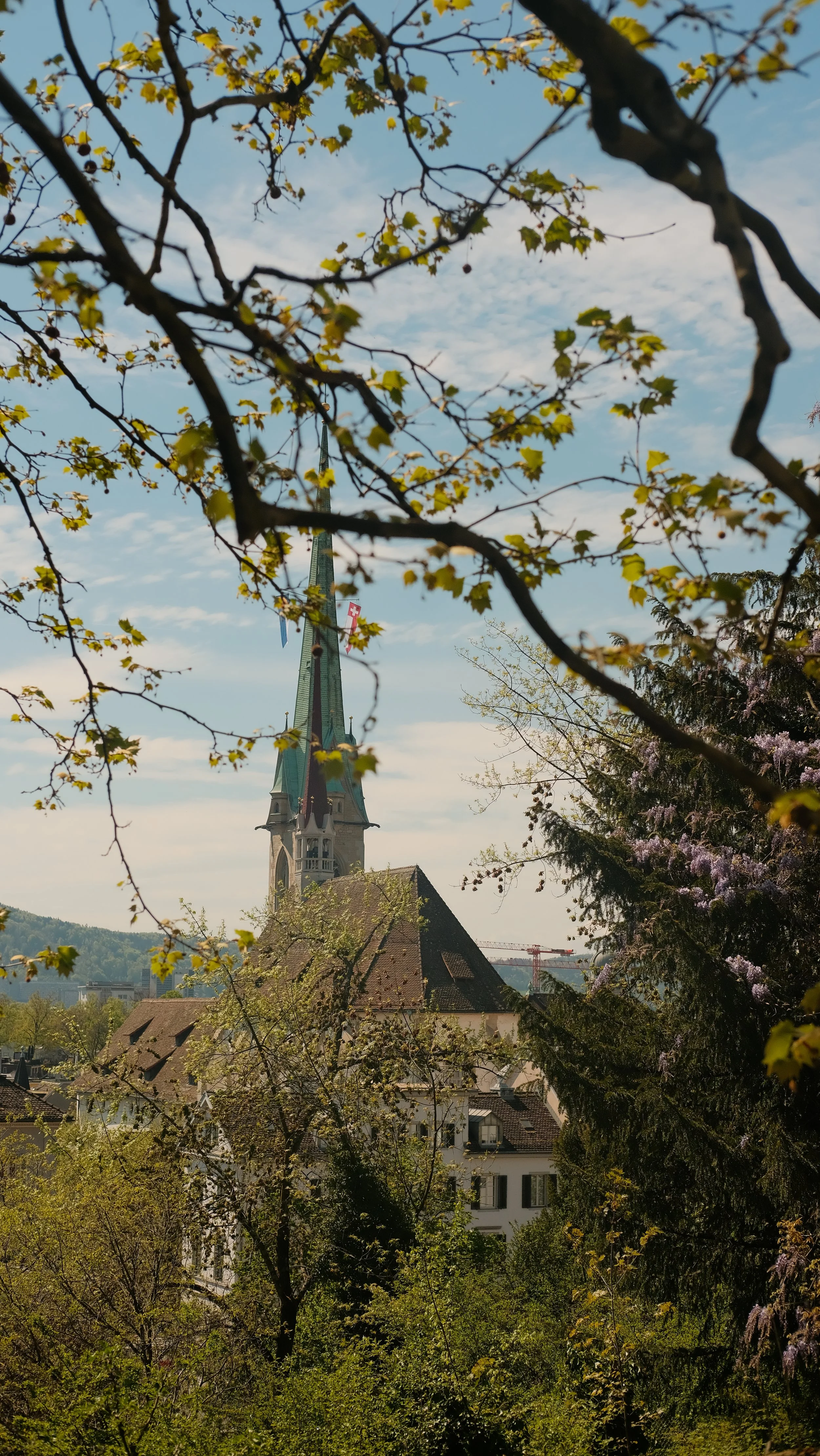  The view from the top of the University of Zurich hill. 