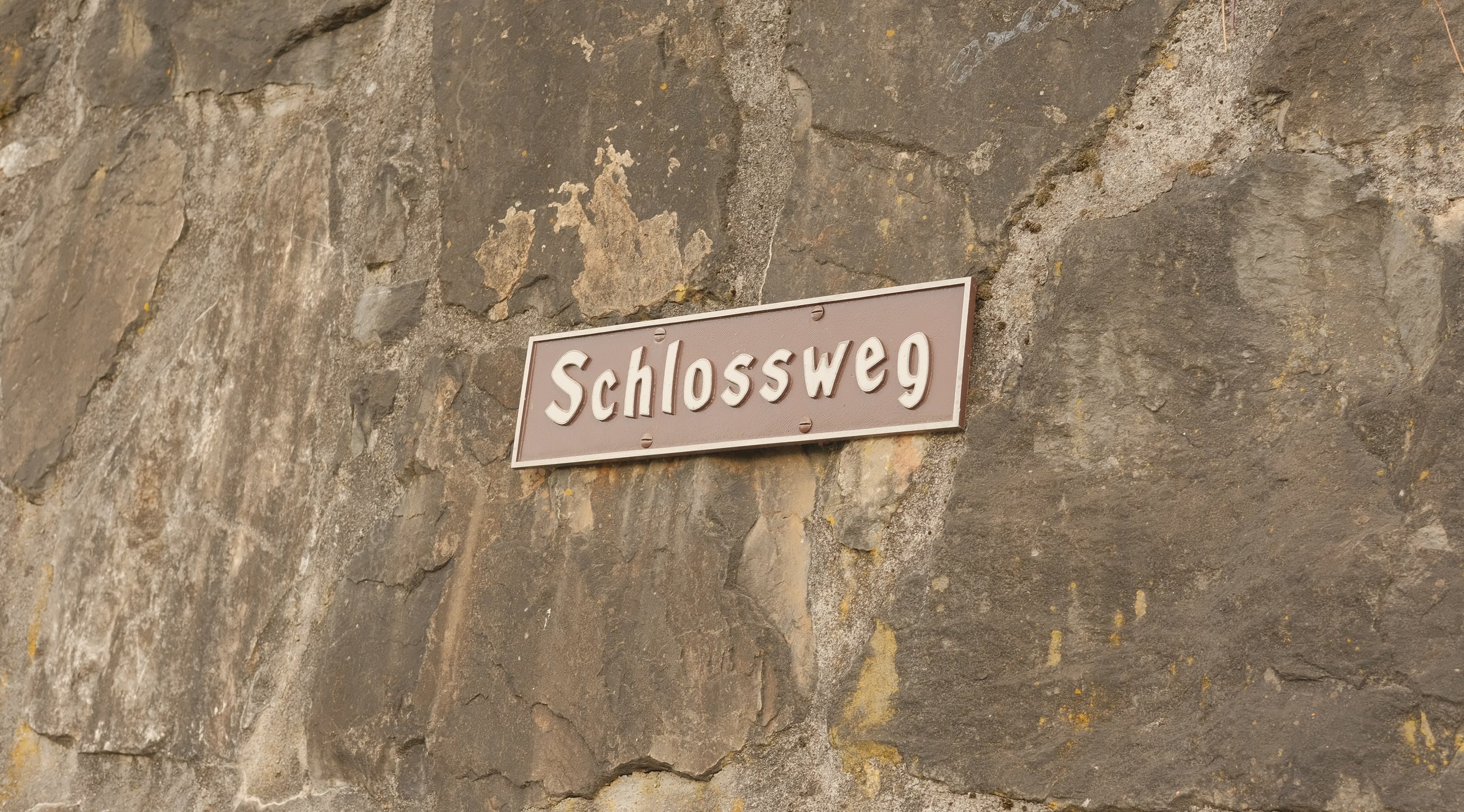  I did a short but drastically uphill hike to see the Prince of Liechtenstein’s castle.  