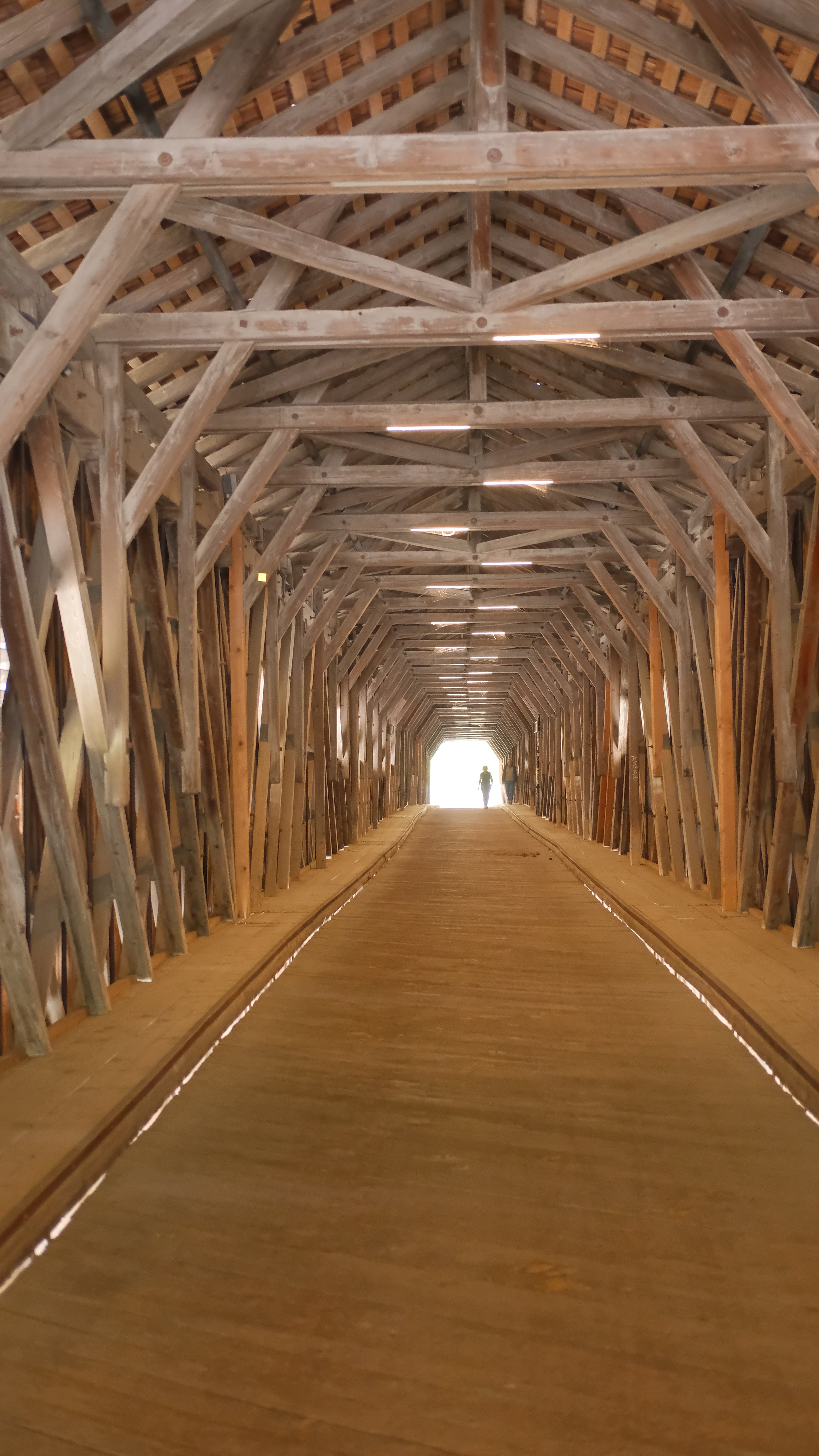  I walked all the way to Alte Rheinbrücke which is a no-car bridge over the Rhine River, connecting Sevelen, Switzerland to Vaduz, Liechtenstein. 