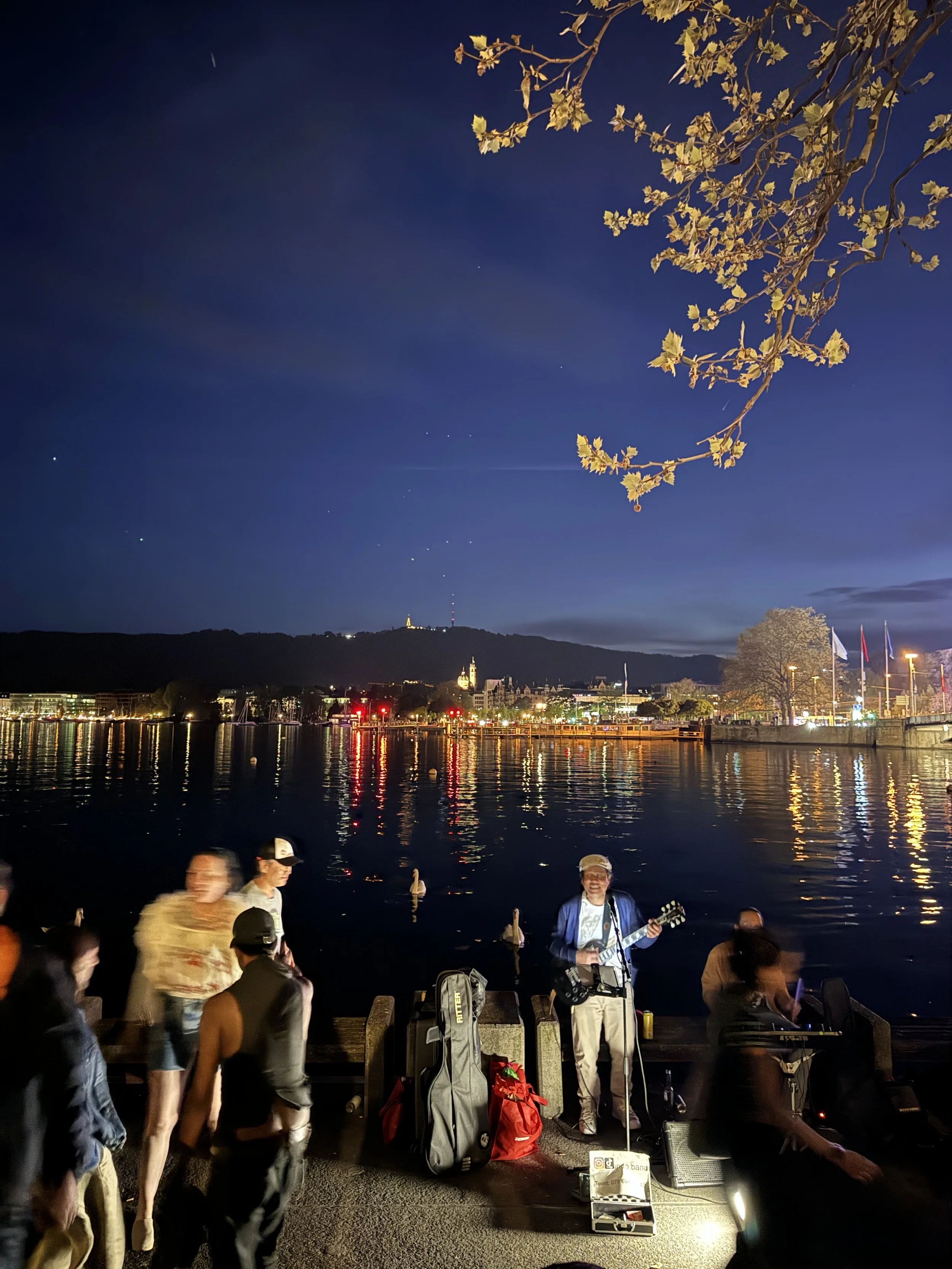  Near the Zurich Lake, there was a man playing music, people listening and drinking, and families of swans swimming through the sound. 