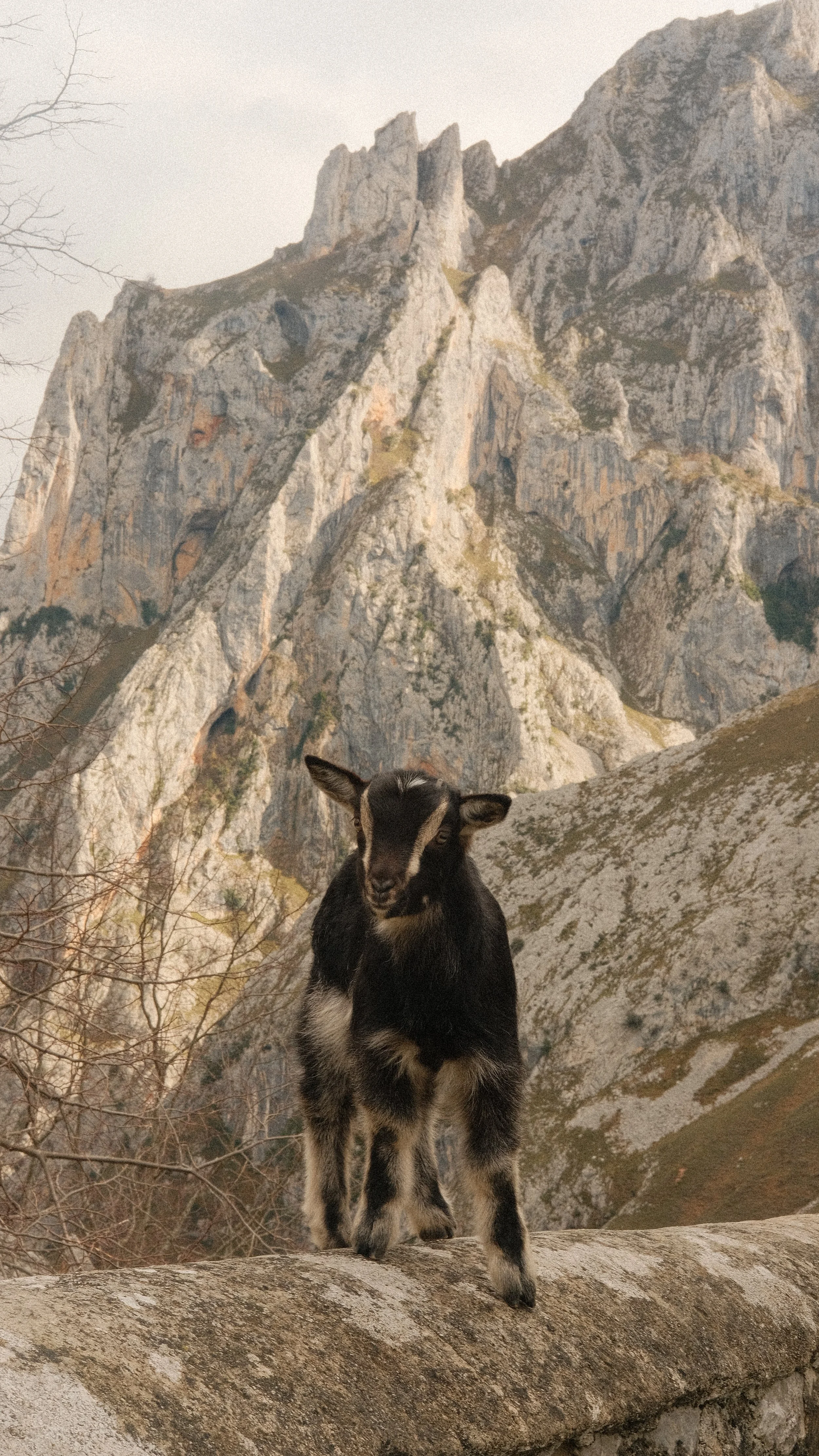 DSCF3641.jpg