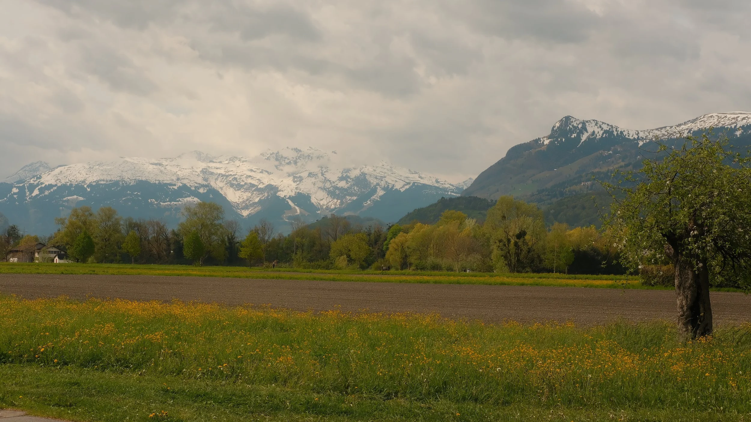 DSCF4265.JPG