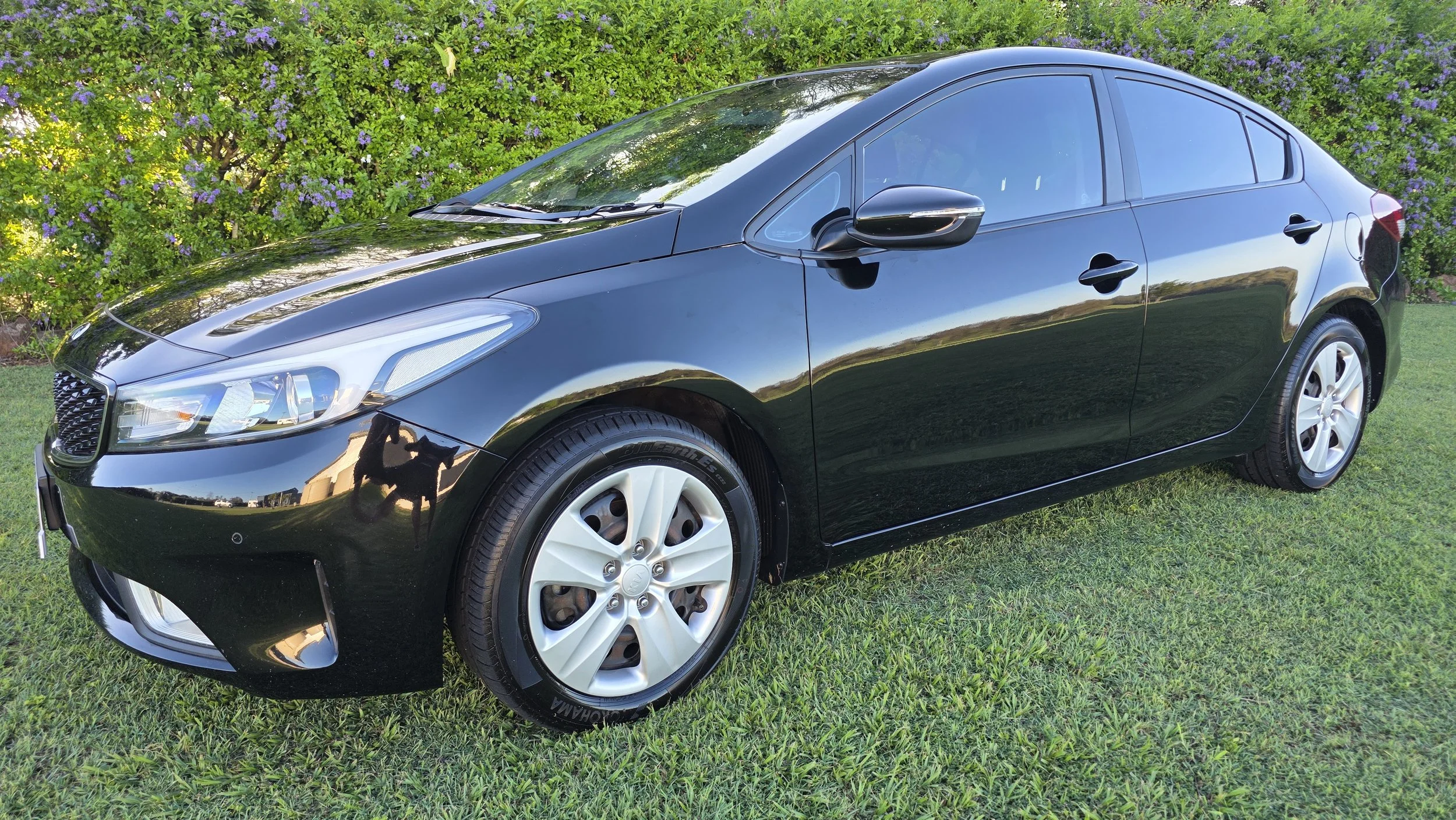 Cerato 1.jpg