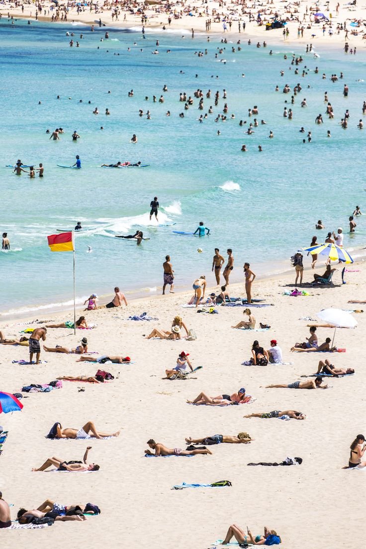 ANY SPACE FOR ME? Bondi Beach Photography Print Wall Art by Laura Reid Photography.jpg