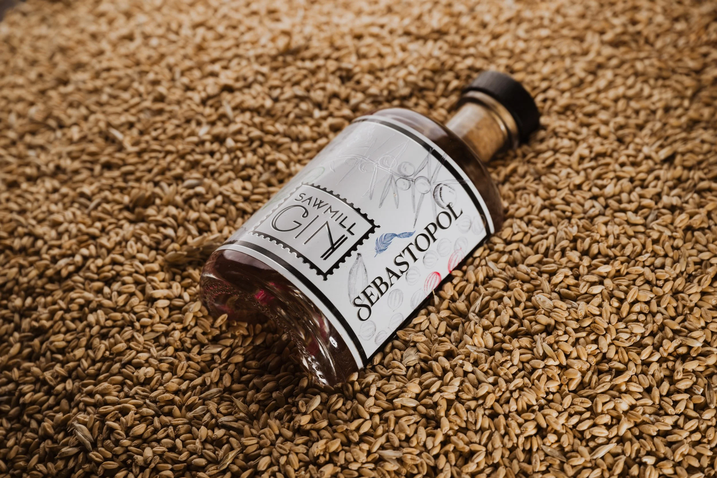 SawmillGin20241111_0174.jpeg