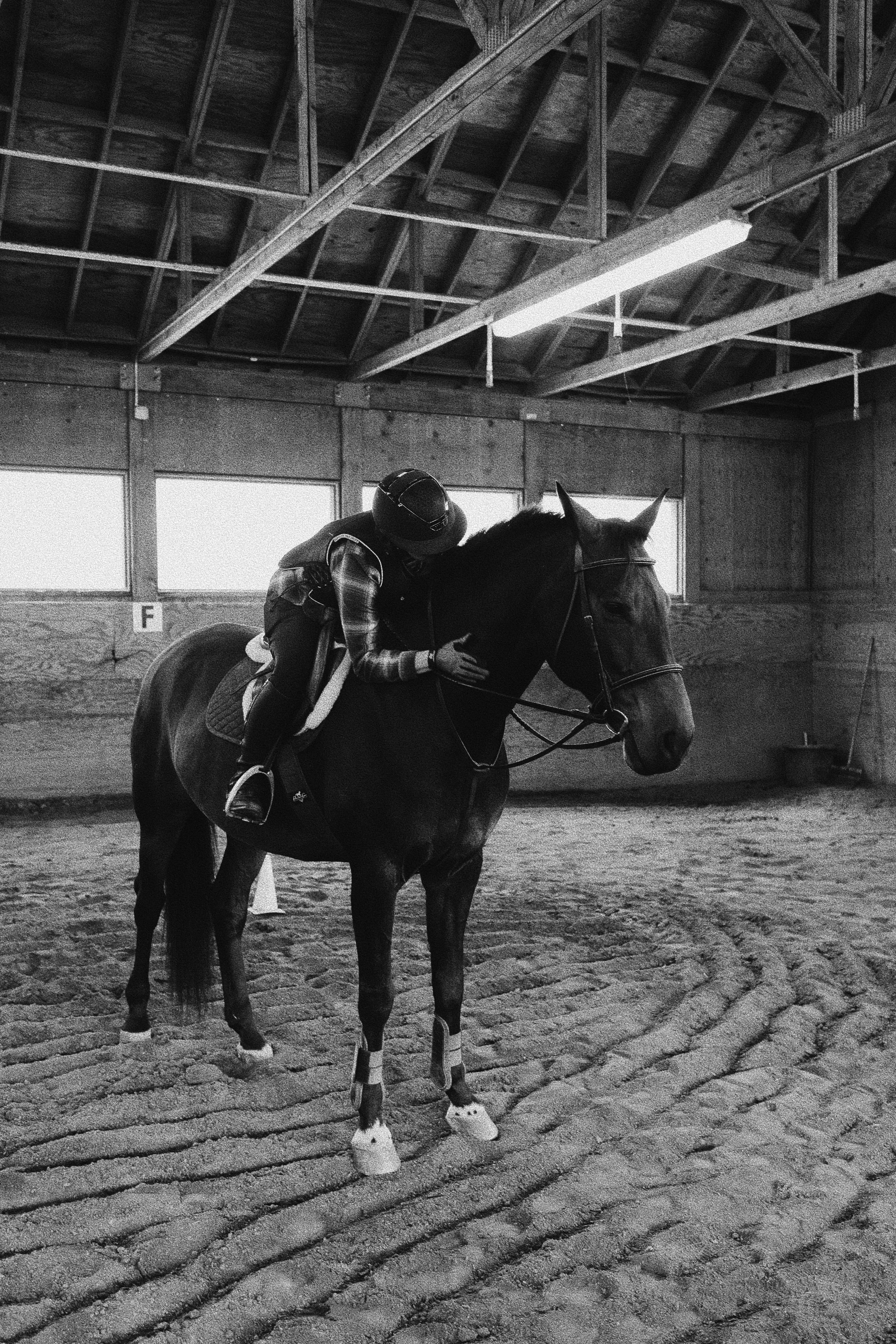 A person wearing a helmet is riding a horse inside an indoor riding arena with a dirt floor and wooden walls. The rider is leaning forward and hugging the horses neck.