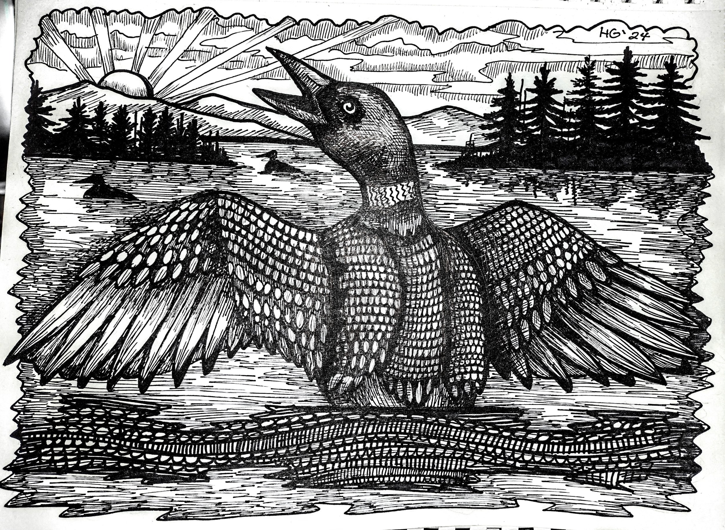 Sunset Loon Ink.jpg