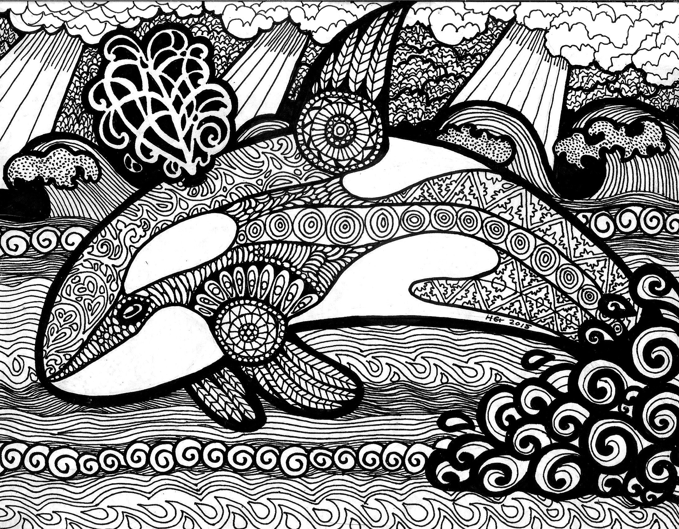 Orca Coloring Page.jpg