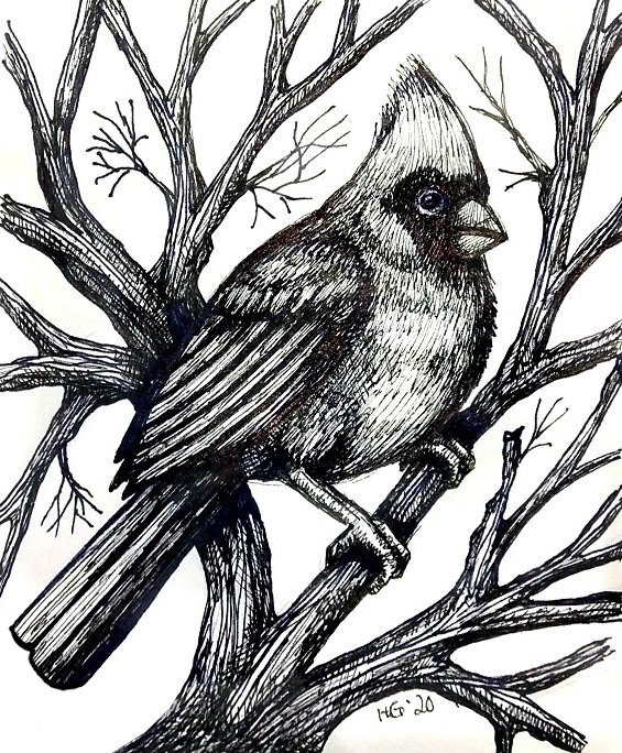 Ink Scroll-Cardinal.jpg