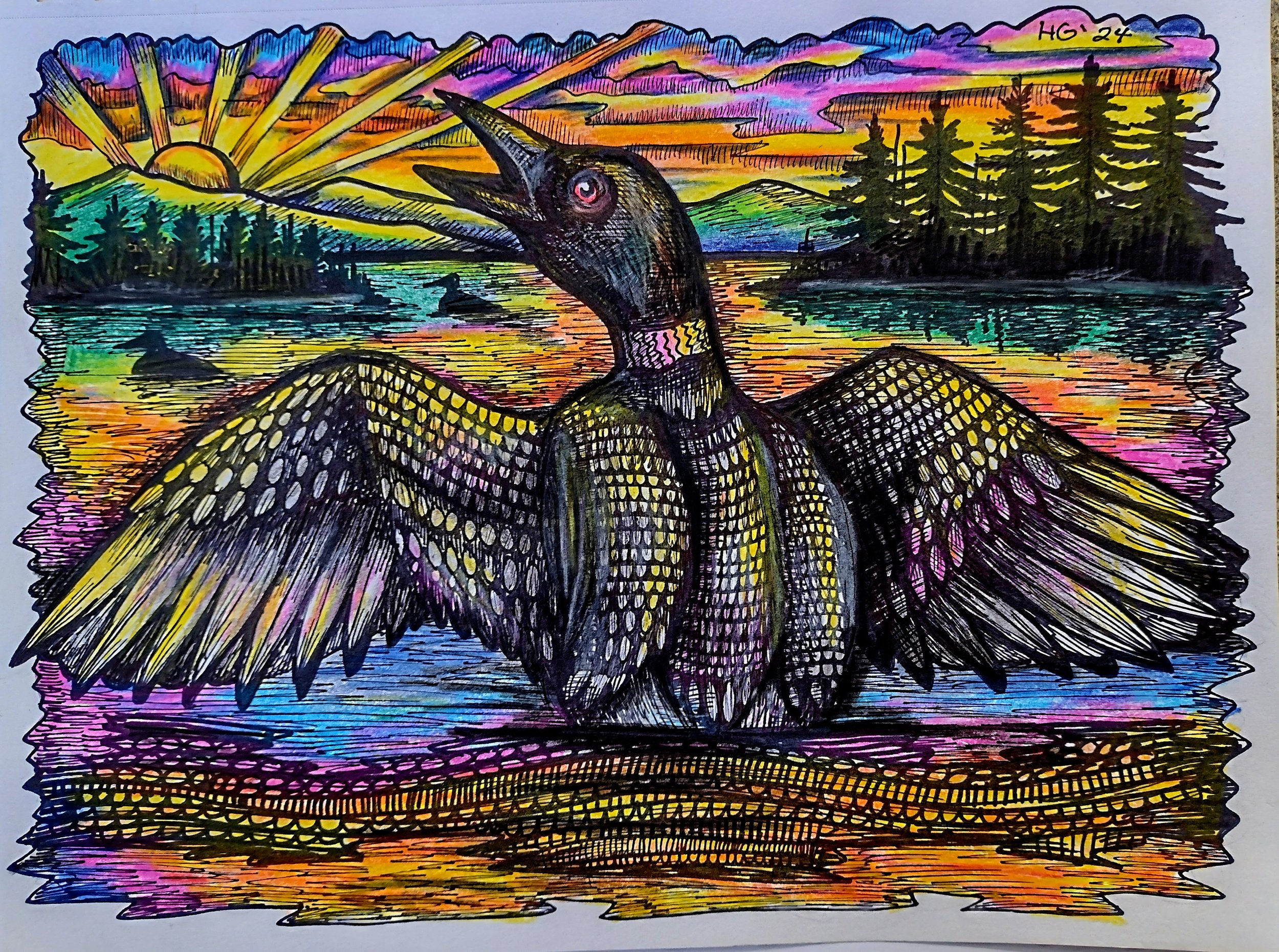 Sunset Loon.jpg