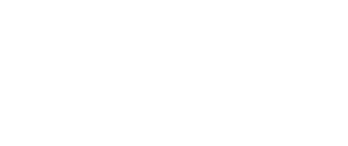 Perimeta for 365