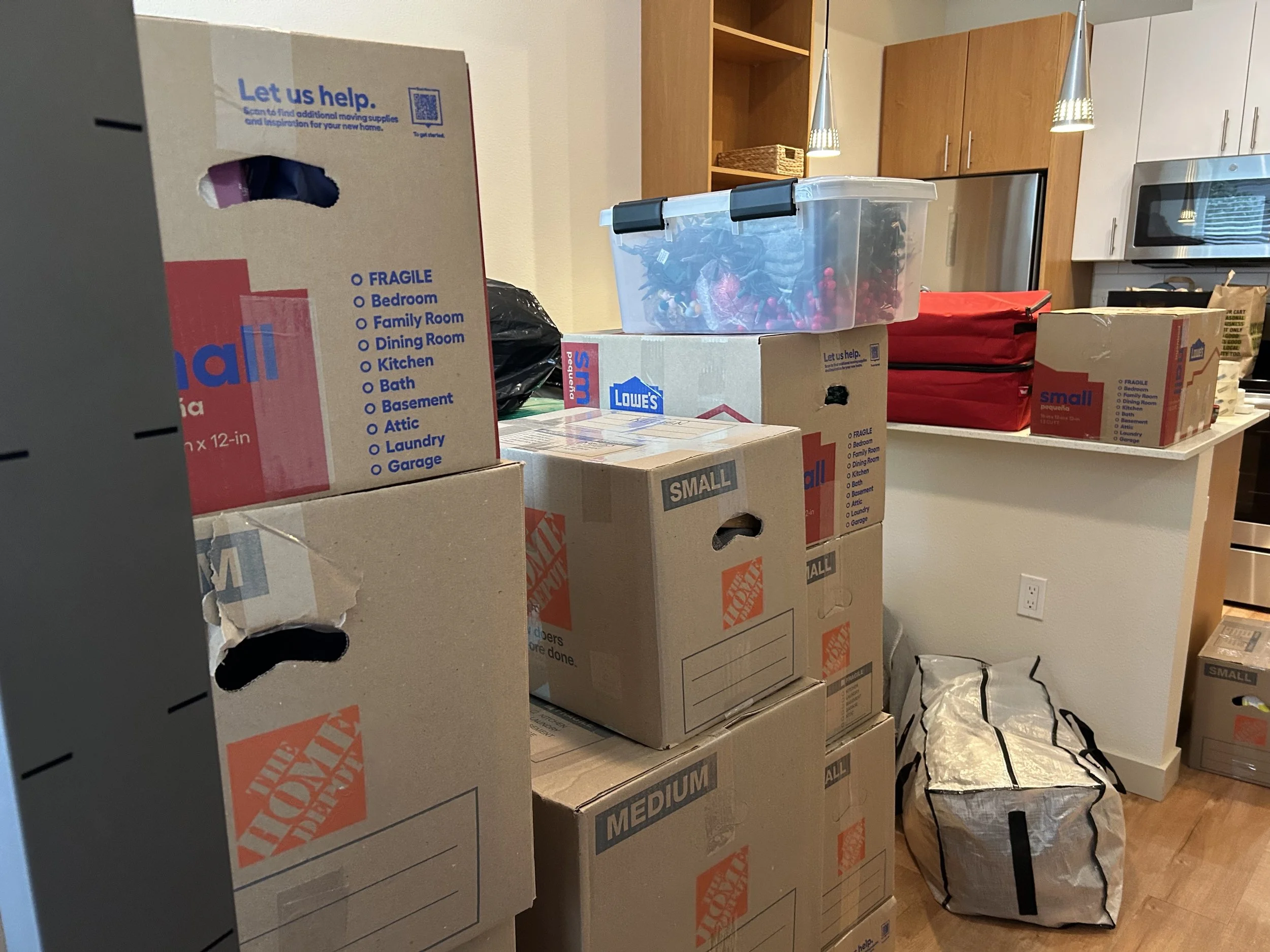 Sarah Living Room Before.jpg