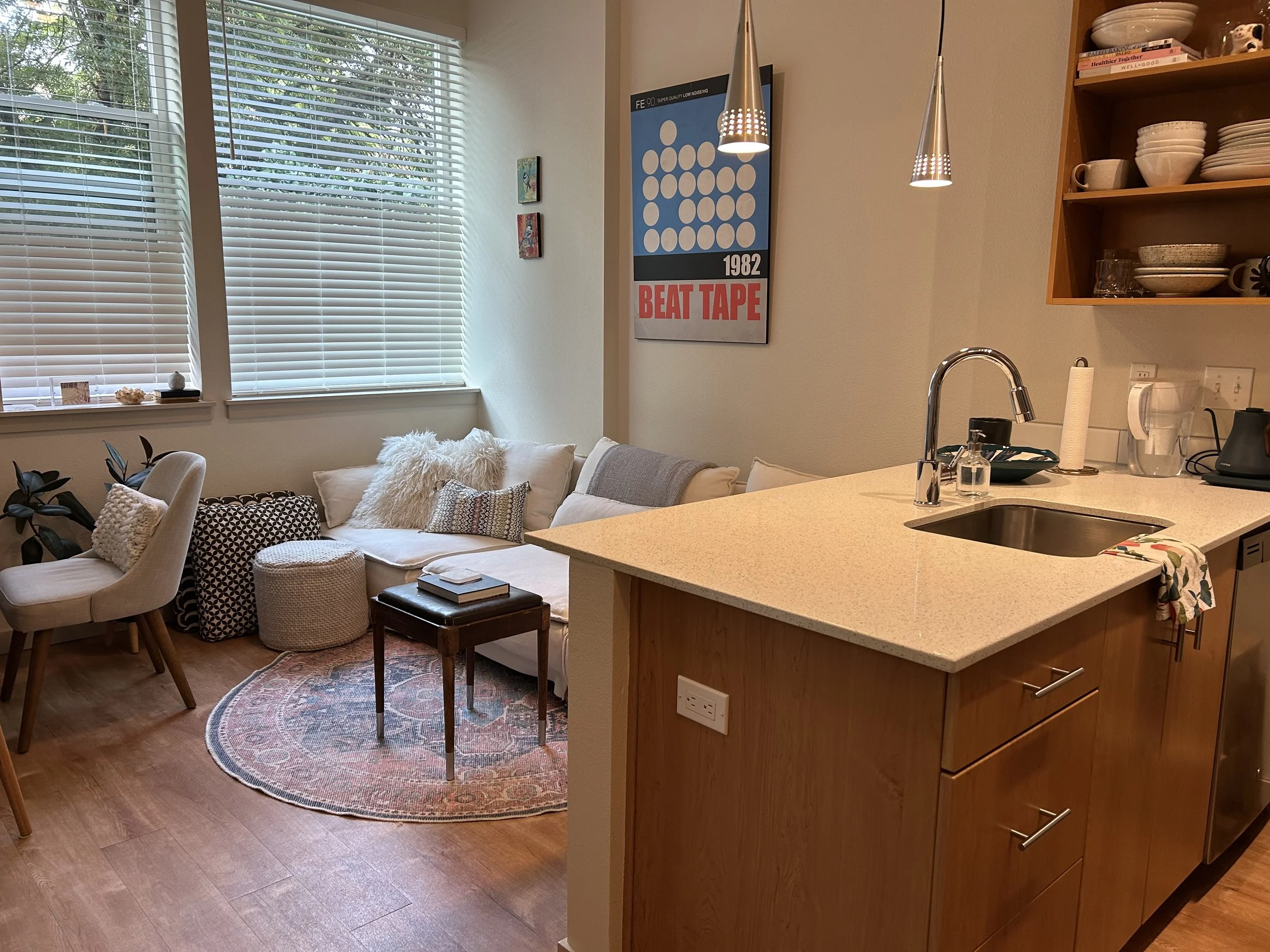 Sarah Apartment After.jpg