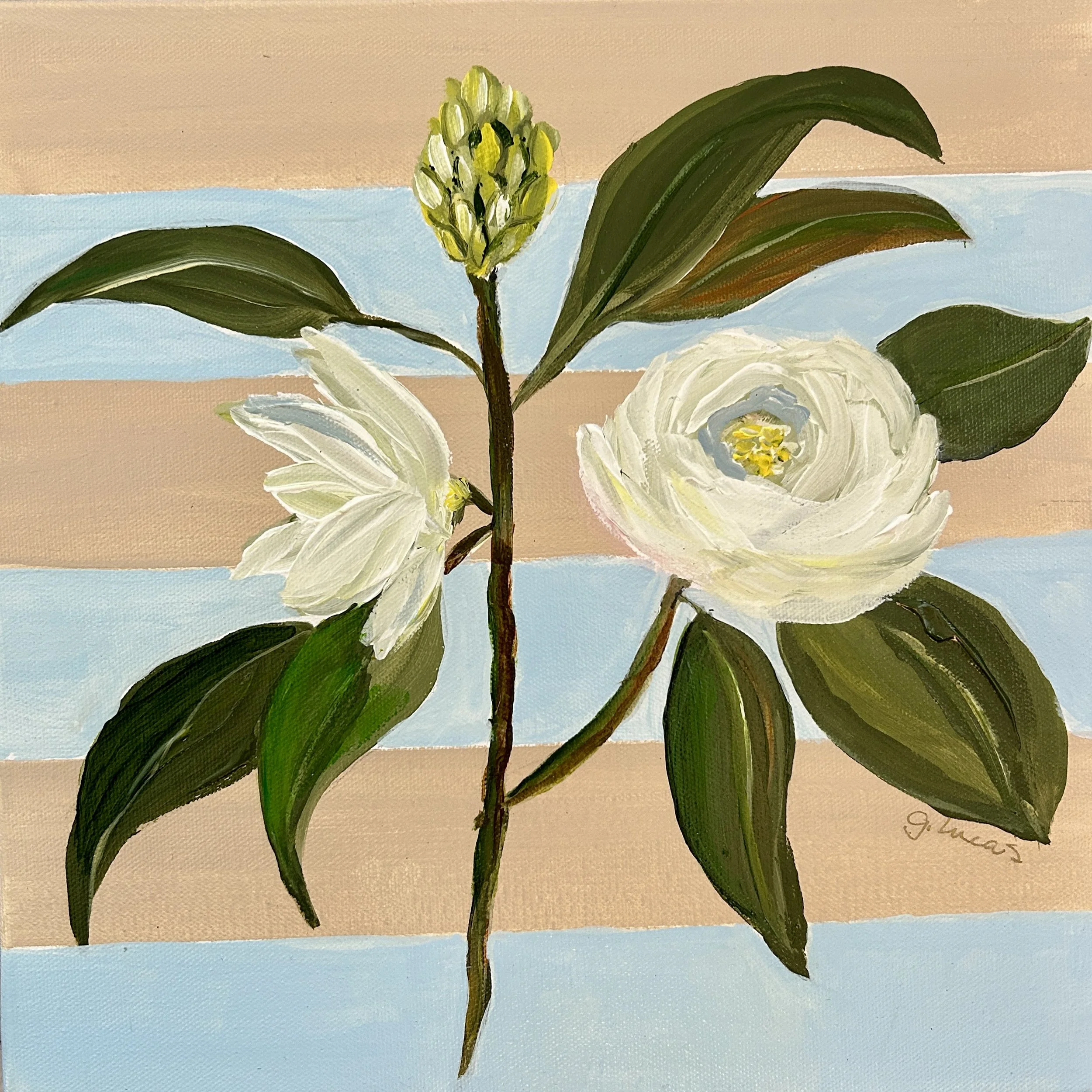 Magnolia 1